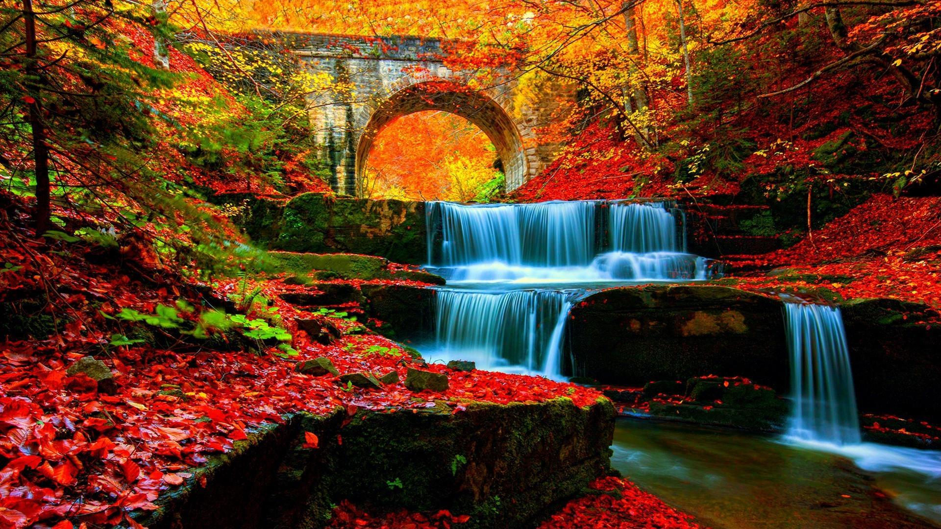 Wallpaper #In1A9I4Bnwiau_P63A9Y46 Waterfall in Autumn Wallpapers Wallpaper Cave