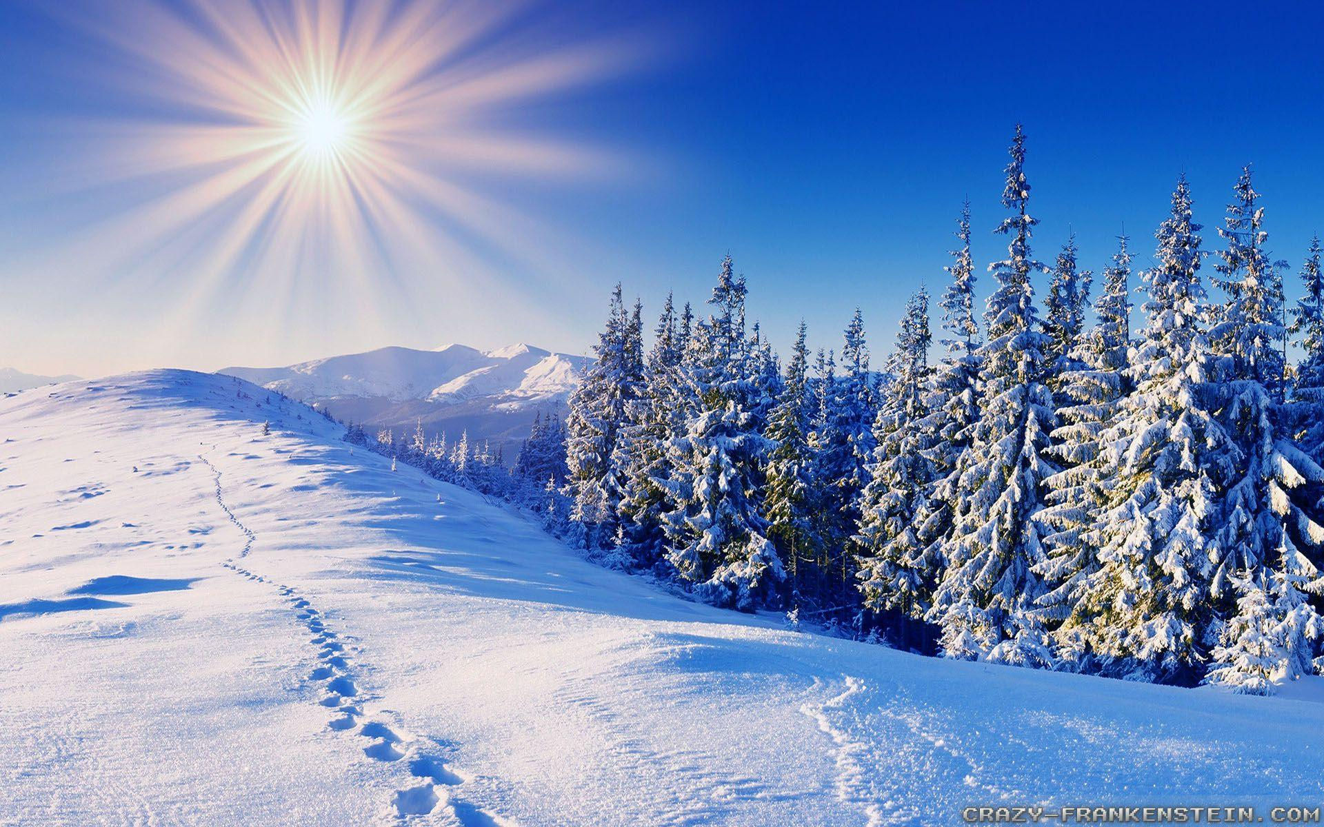Wallpaper #yJyF4pIBZHQxiYarucCZ177 Winter 1920x1200 Wallpapers Wallpaper Cave