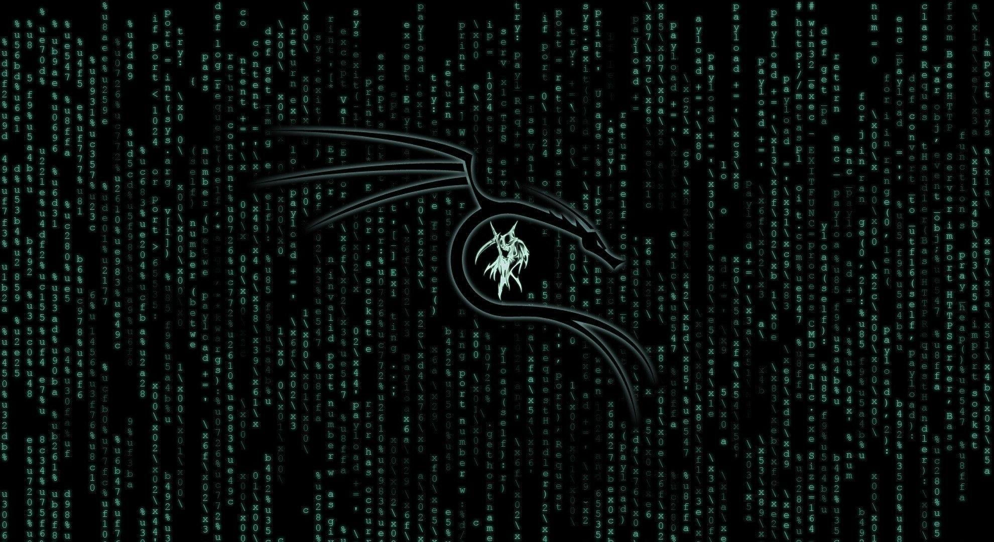 Wallpaper #c37cf Kali Linux 20241 Released with 4 New Tools Ui Refresh