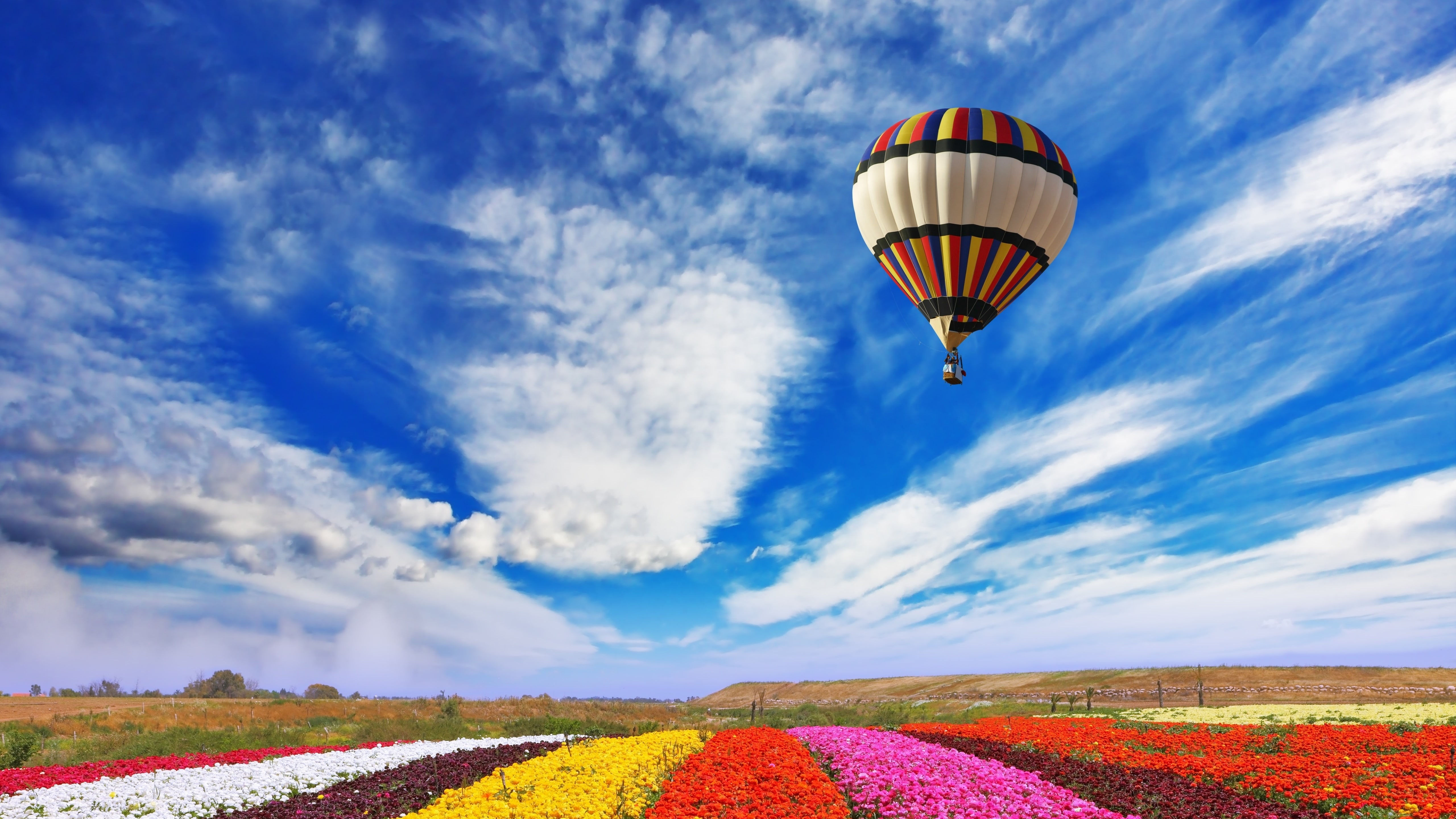 Wallpaper #a0D6MJMBJhL2WPbaiMSr236 Hot Air Ballooning 5K Field Hot Air Balloon Balloon Air Balloon