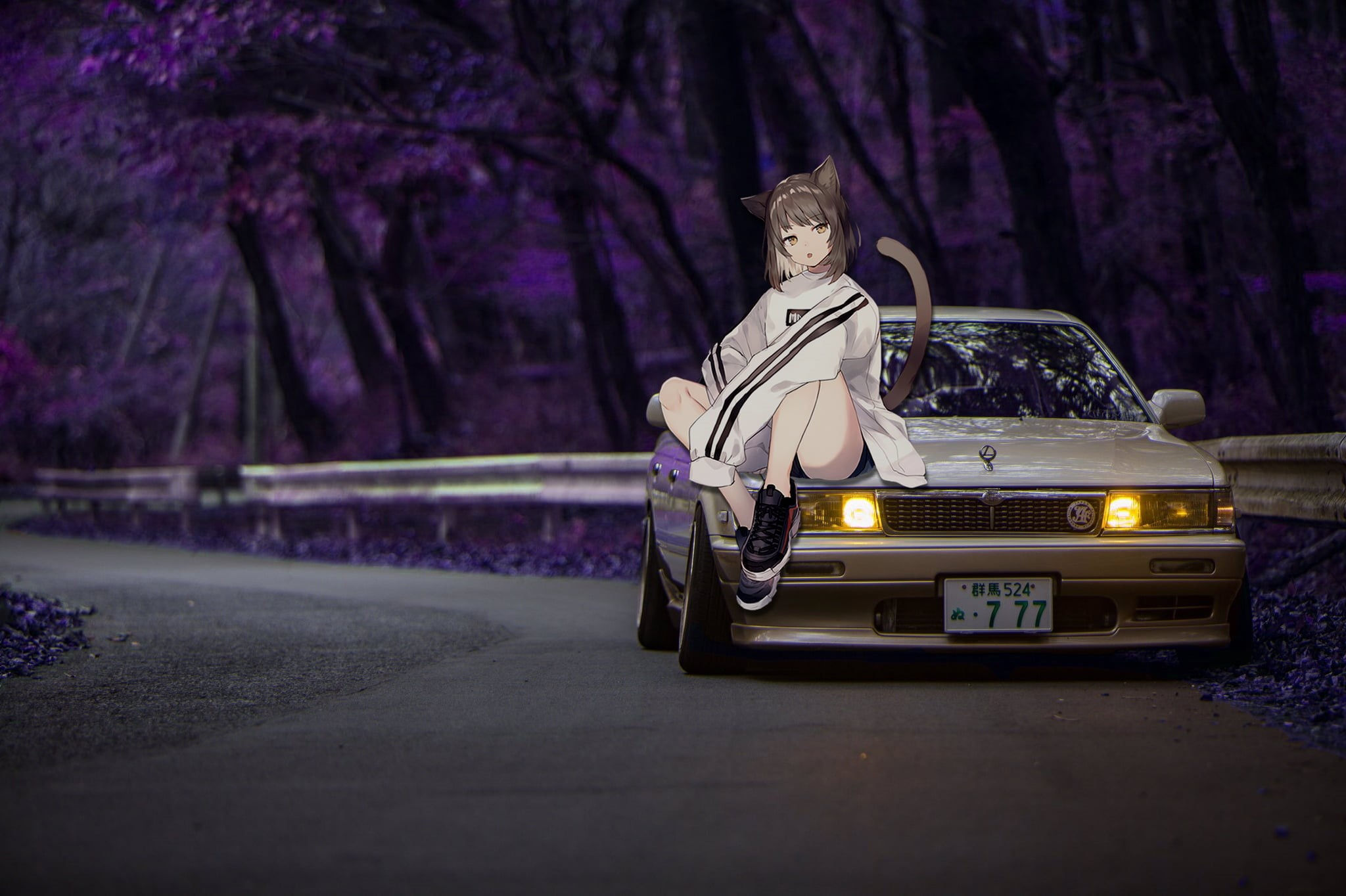 Wallpaper #46bf0 Download Girl Leaning on a Nissan Skyline Car Anime Wallpaper