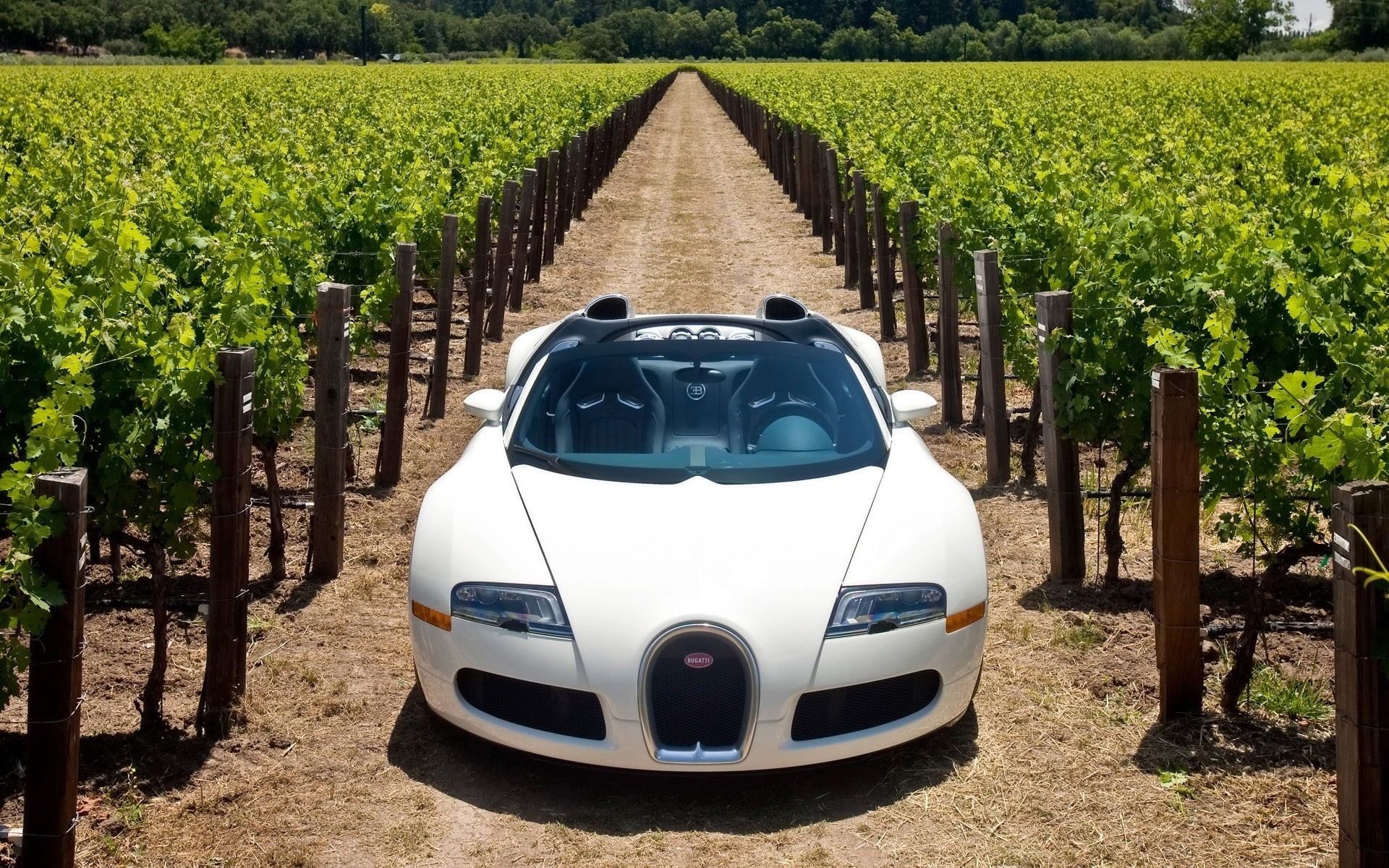 Wallpaper #Z1hnNJMBzN9vxX34lDyA272 Landscape Grand Napa Veyron Front Valley Sport Bugatti Veyron