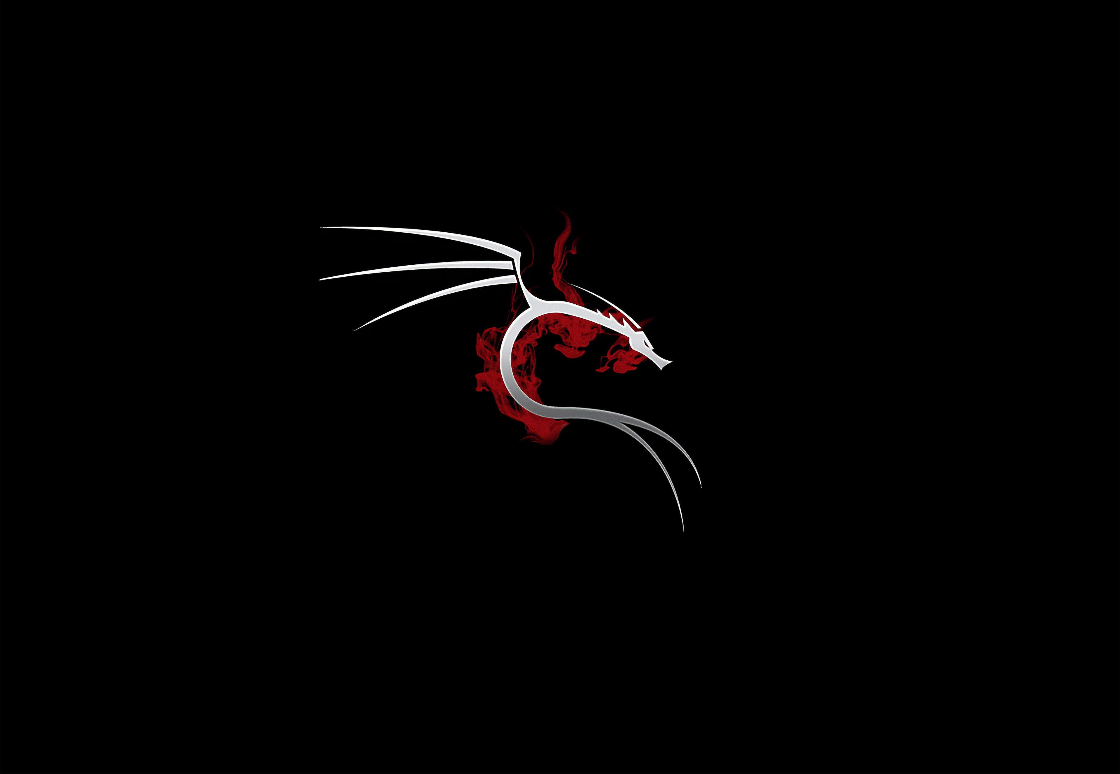 Wallpaper #c37cf Kali Linux 20241 Released with 4 New Tools Ui Refresh