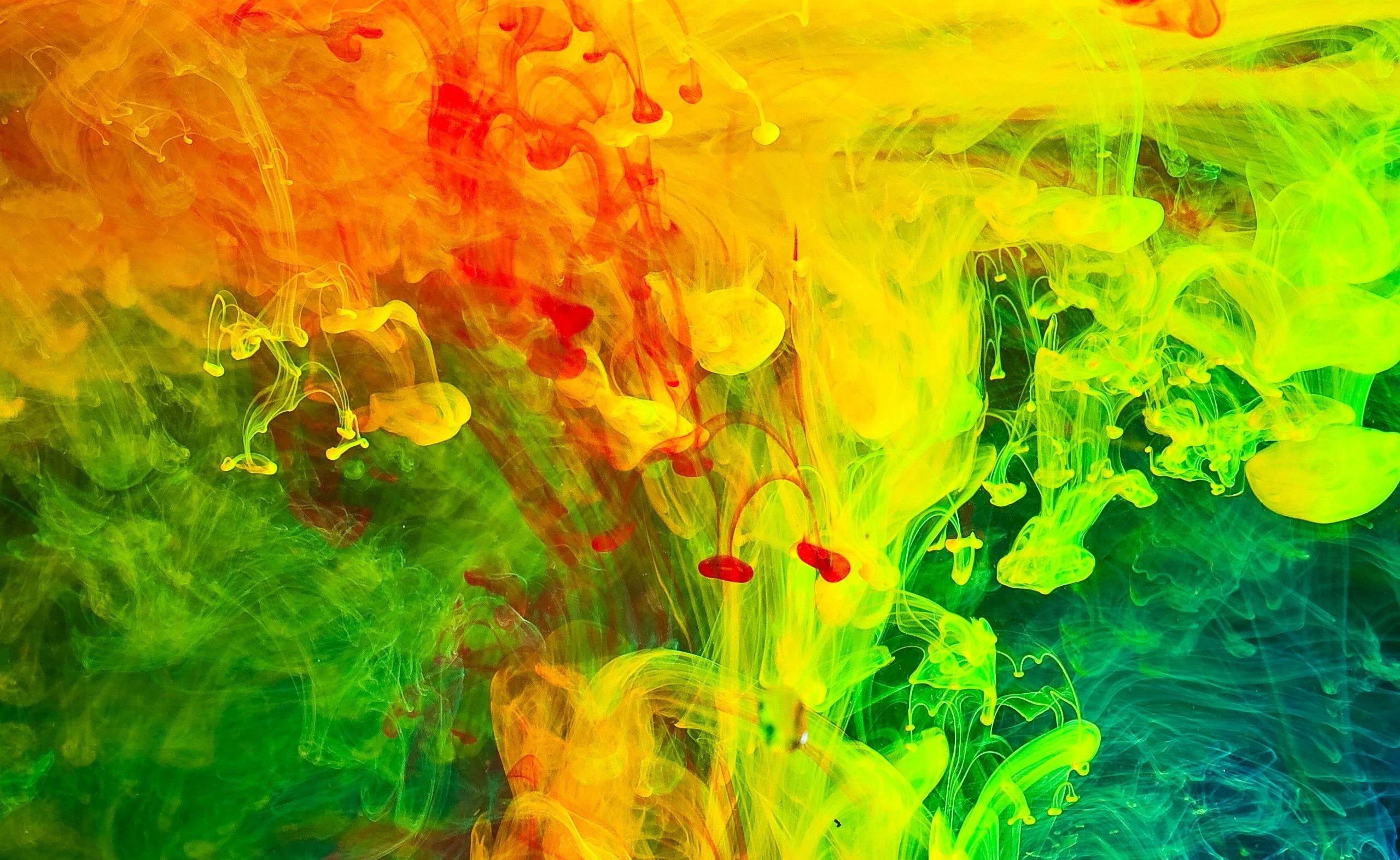 Wallpaper #1mjGGZMBSpphPi3-6hiW185 Full Frame Green Color Colorful Abstract Studio Shot Yellow