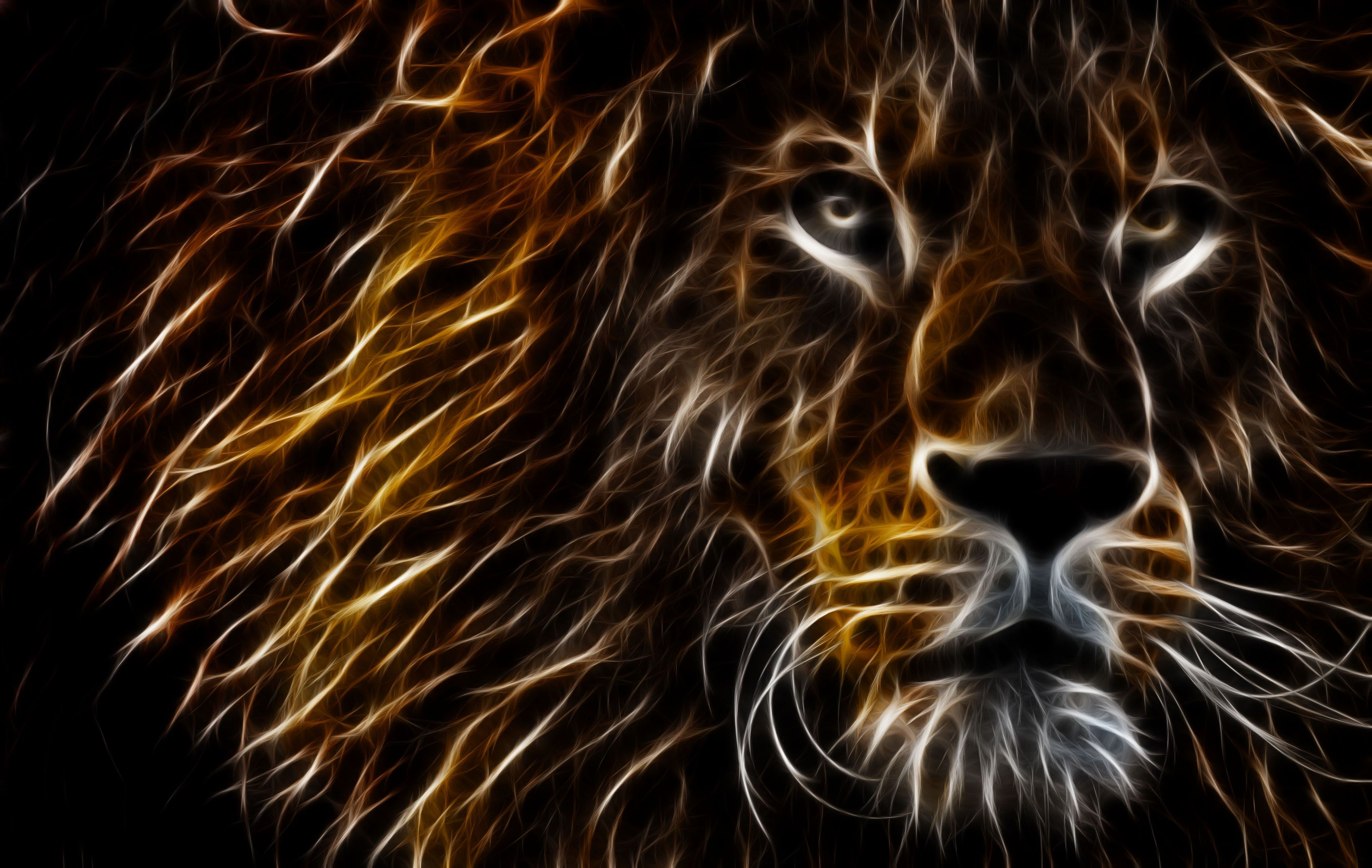 Wallpaper #kn1P8o4Bnwiau_P6DgsH28 Lion with Colours Wallpapers Wallpaper Cave