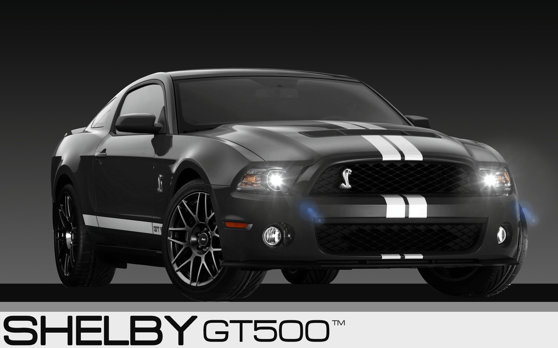 Wallpaper #003bd Download Ford Shelby Gt500 Wallpaper HD by at Johns69 Shelby Mustang