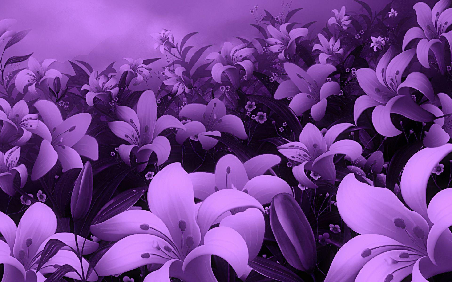 Wallpaper #GGf-DJMBSpphPi3-LeJe64 Purple Flowers Backgrounds Wallpaper Cave