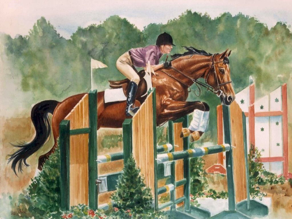 Wallpaper #Gx2aLJMBlOZrFDOk68sw263 Horse Show Wallpapers Wallpaper Cave