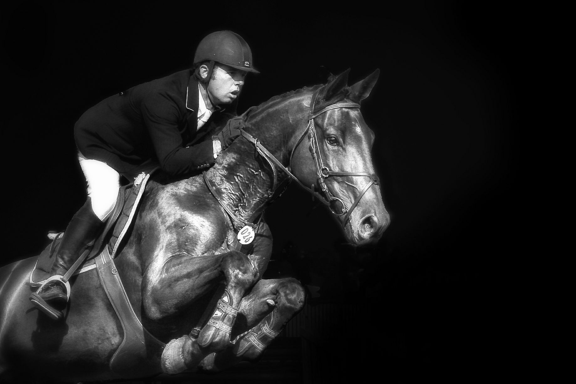 Wallpaper #Gx2aLJMBlOZrFDOk68sw59 Showjumping Wallpapers Wallpaper Cave