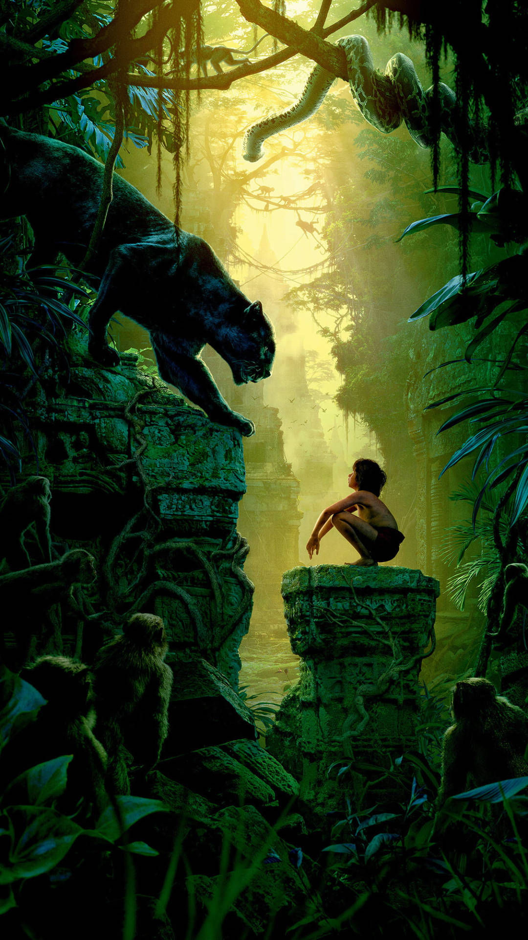 Wallpaper #fEYwVJcBqAgmjOk2N10e255 100 Jungle iPhone Wallpapers Wallpaperscom