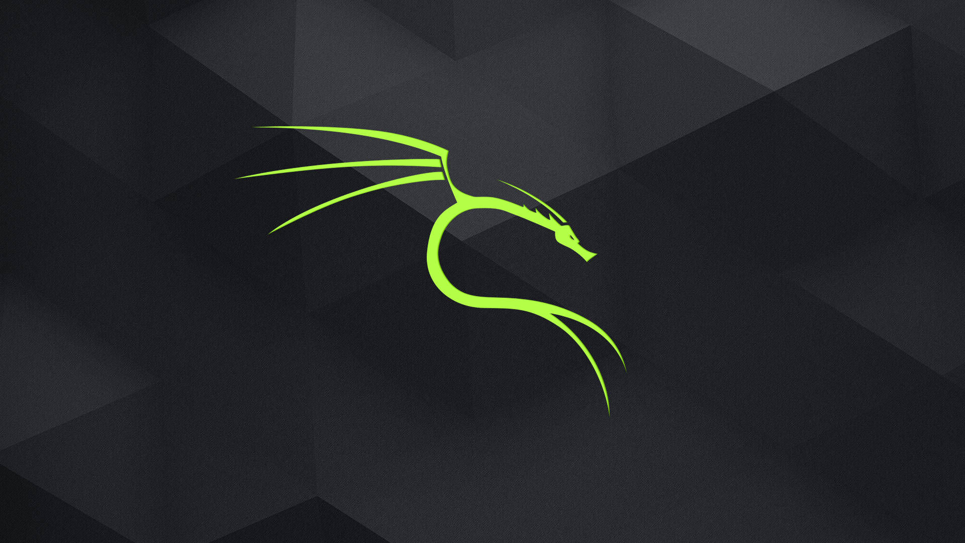 Wallpaper #c37cf Kali Linux 20241 Released with 4 New Tools Ui Refresh