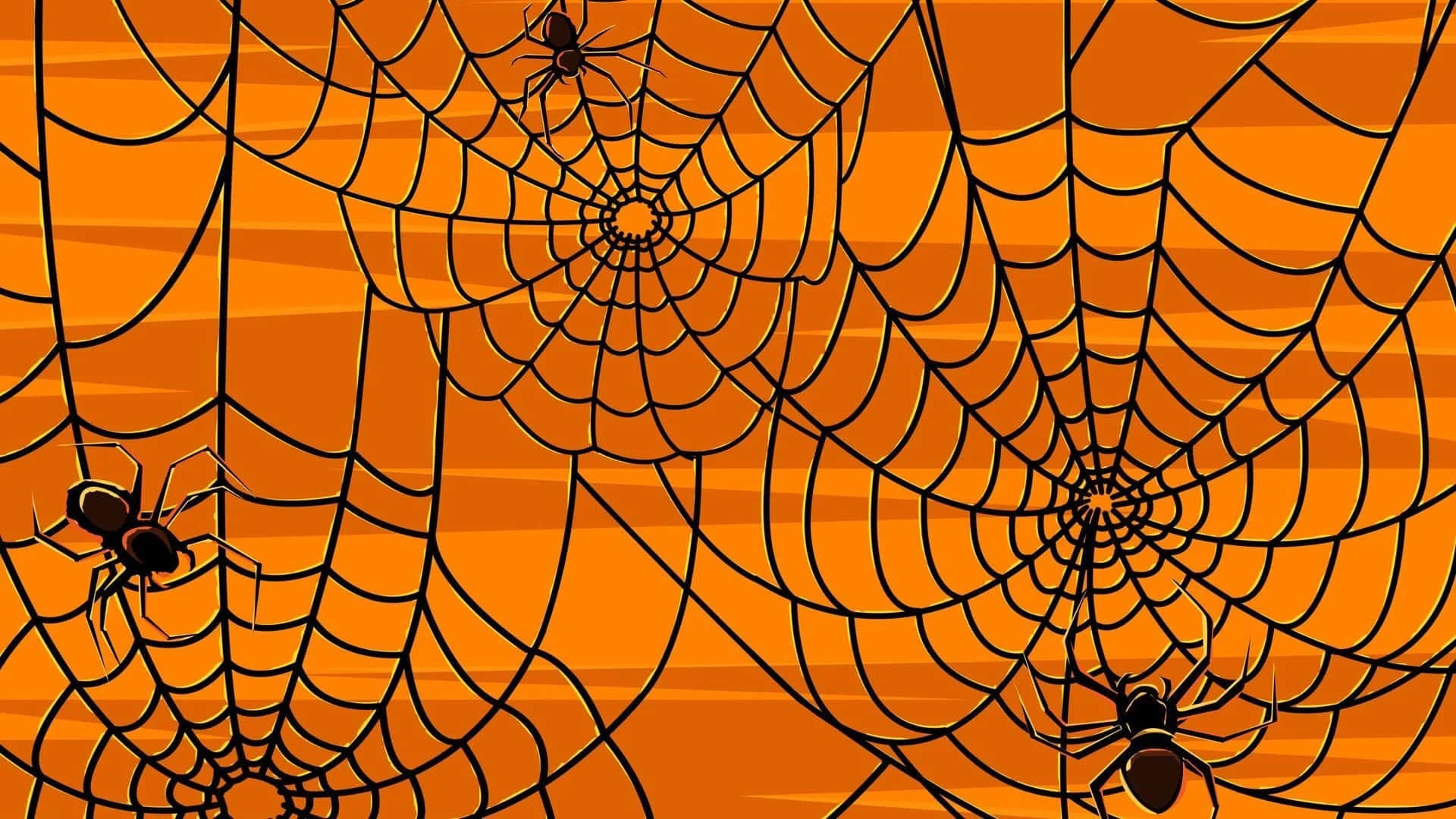 Wallpaper #zqkWiJcBxbDgA0Rl1O5S126 Download a Black and Orange Spider Web with Spiders Wallpaperscom