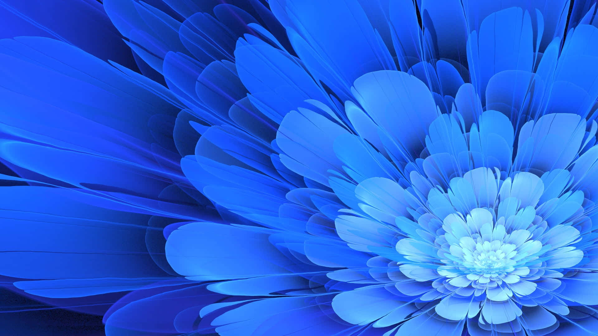 Wallpaper #12hXIpMBSpphPi3-bTLG31 Mobile Animated Flower Wallpapers