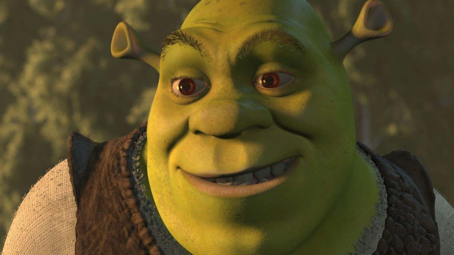 Wallpaper #11e69 Shrek Meme Templates Imgflip