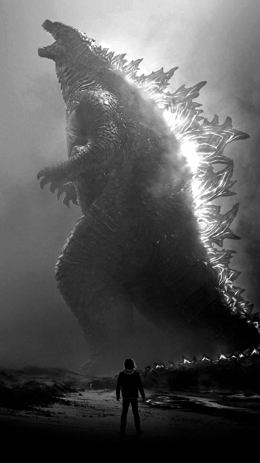 Wallpaper #khmaLo8BtGB6xQ786ZUb31 Download Godzilla King of the Monsters Wreaks Havoc Wallpaper