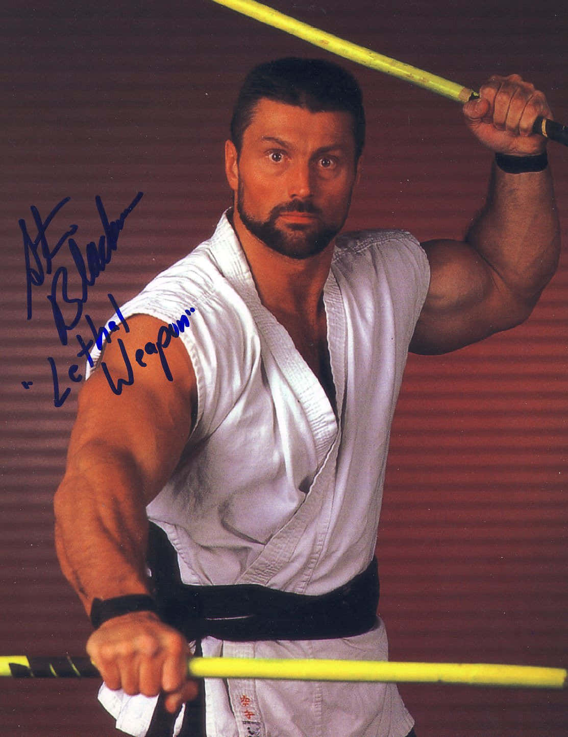 Wallpaper #2CyqSZMB0E1QgA7w2fMq331 Download Steve Blackman Holding Fighting Sticks Wallpaper Wallpaperscom