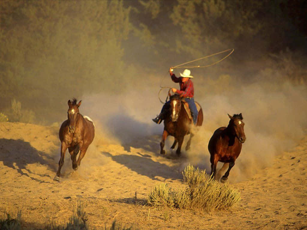 Wallpaper #DR2ZLJMBlOZrFDOkSMvb203 Download Running Horses and Western Cowboy Desktop Wallpaper