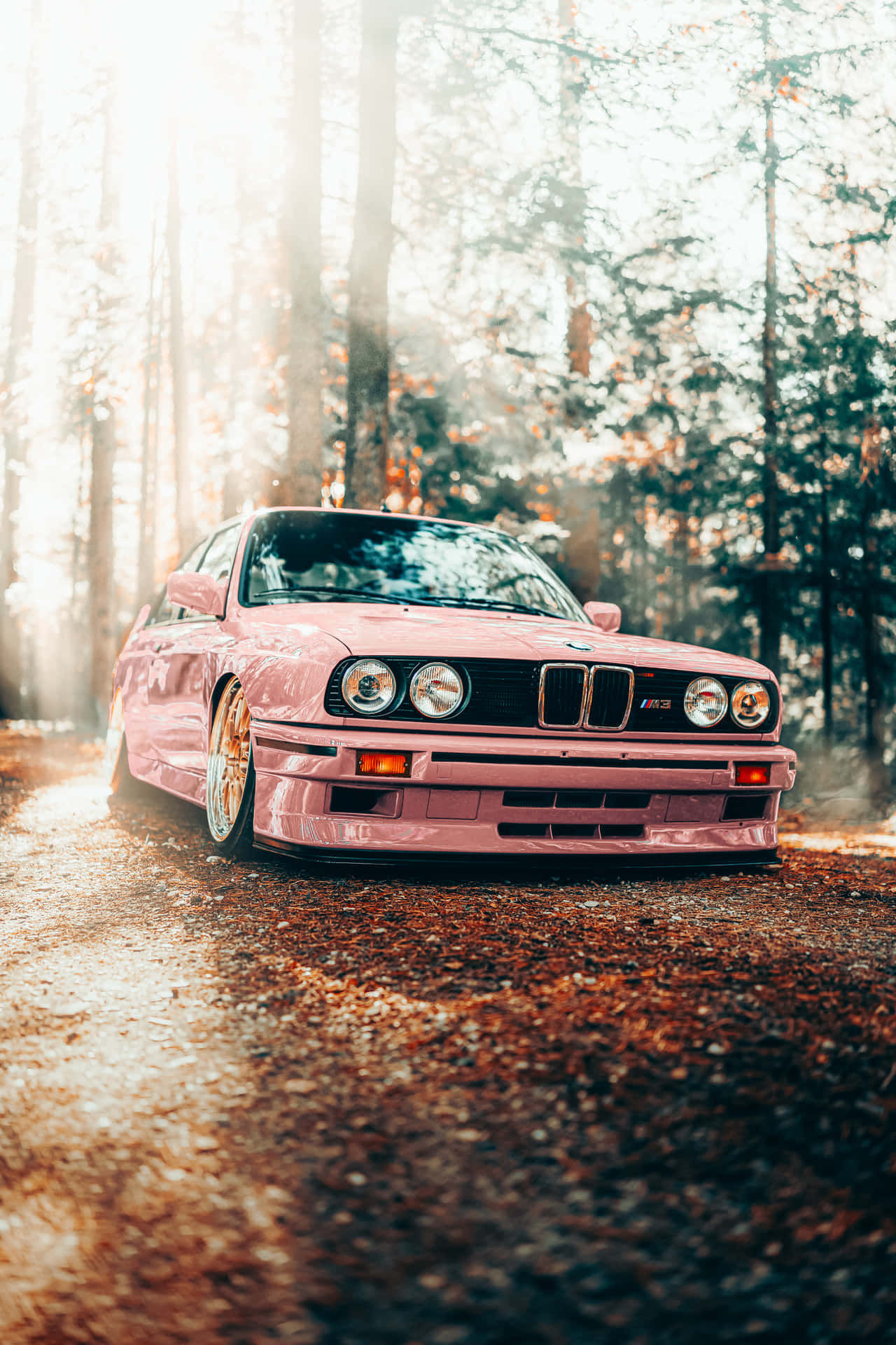 Wallpaper #AGg1F5MBSpphPi3-xQ6853 Download a Pink BMW E30 Parked in the Woods Wallpaper Wallpaperscom