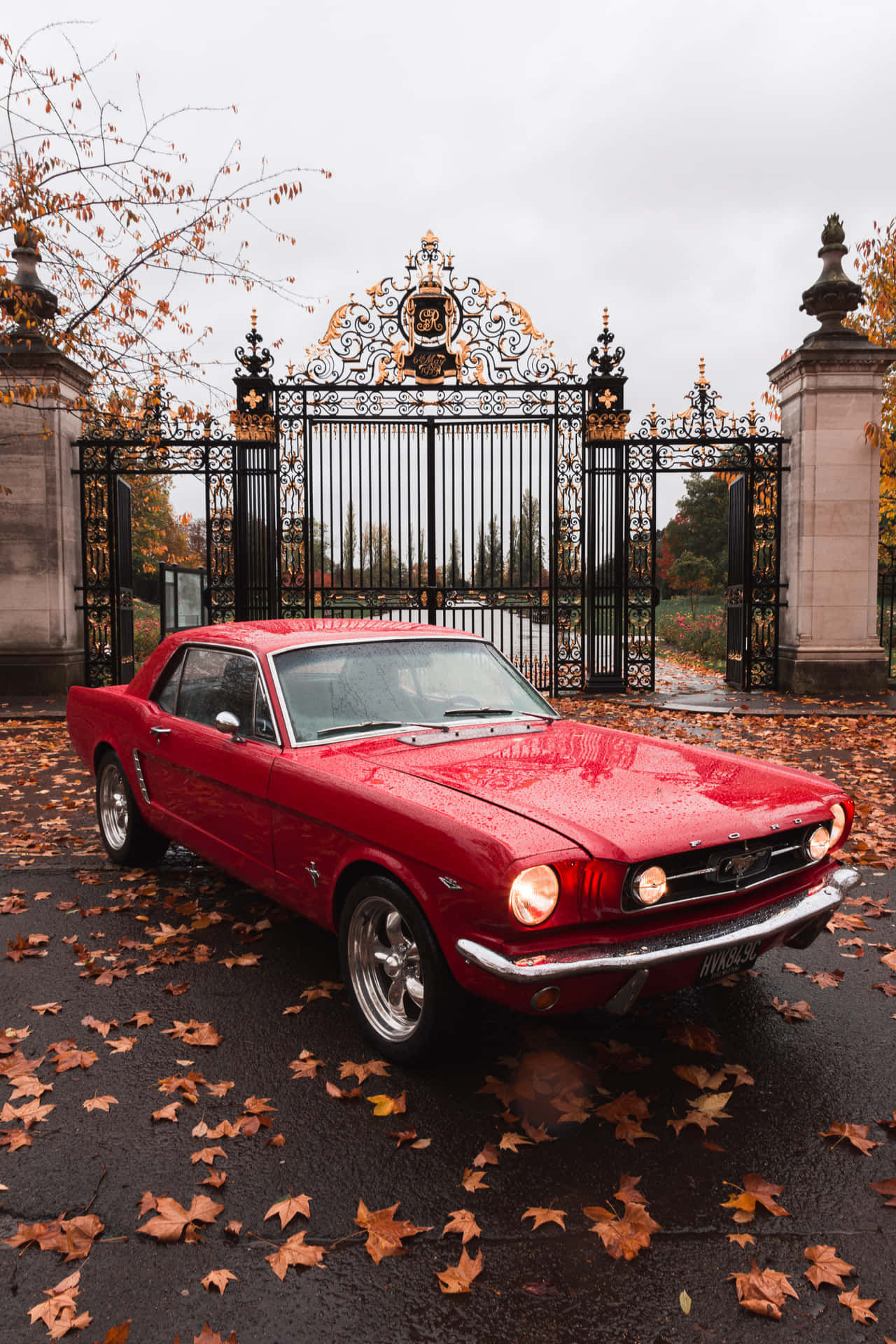 Wallpaper #n32L8Y4Bnwiau_P6pgnv12 Download First Generation Ford Mustang Vintage Car Wallpaper