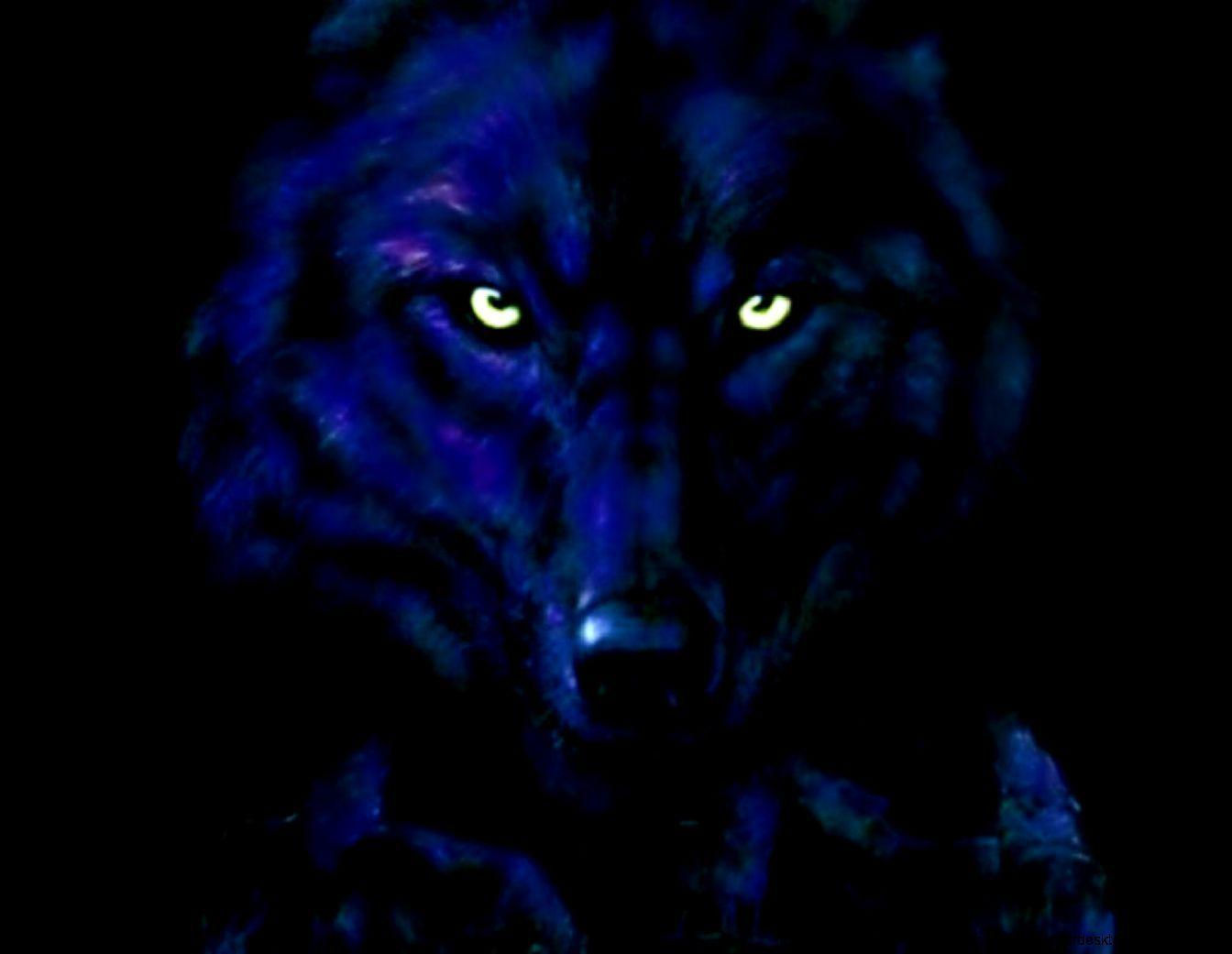 Wallpaper #4h3xLJMBlOZrFDOkhswd89 Black Wolf HD Wallpapers Wallpaper Cave