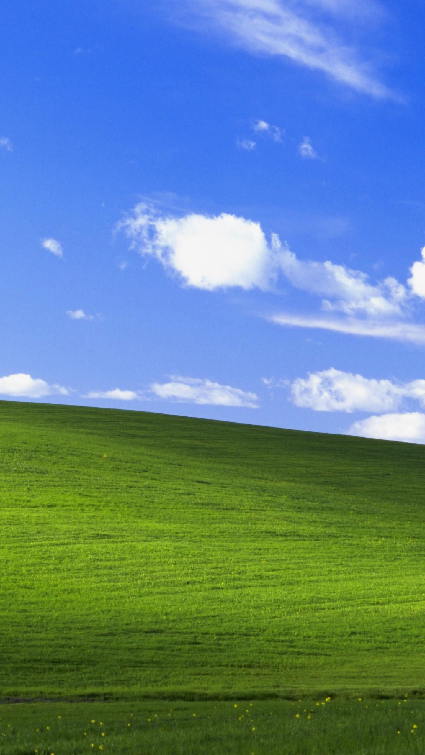 Wallpaper #cHQYvY4B_8f4nGFawmvF35 Bliss Windows Xp 4K Wallpaper