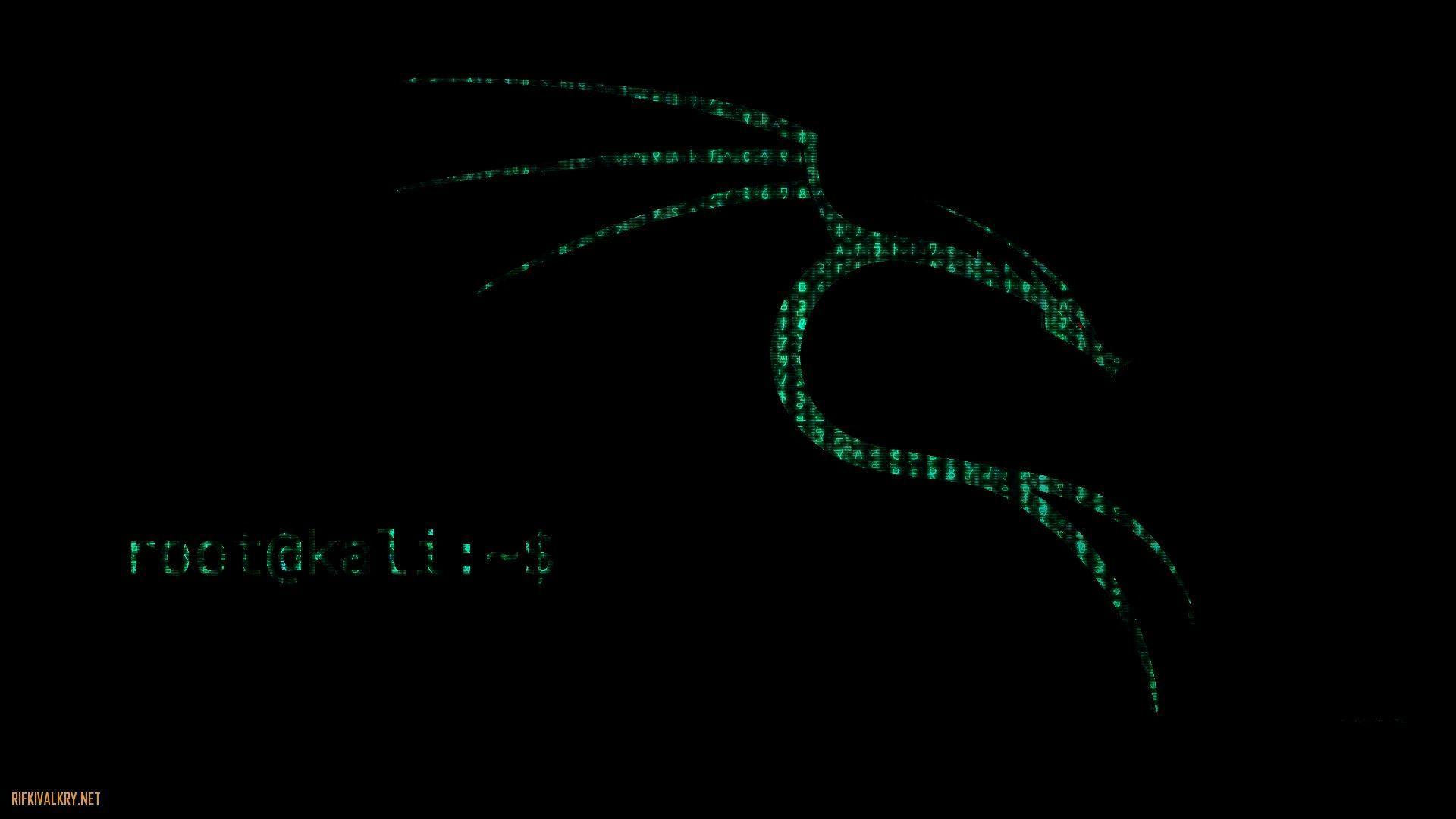 Wallpaper #c37cf Kali Linux 20241 Released with 4 New Tools Ui Refresh