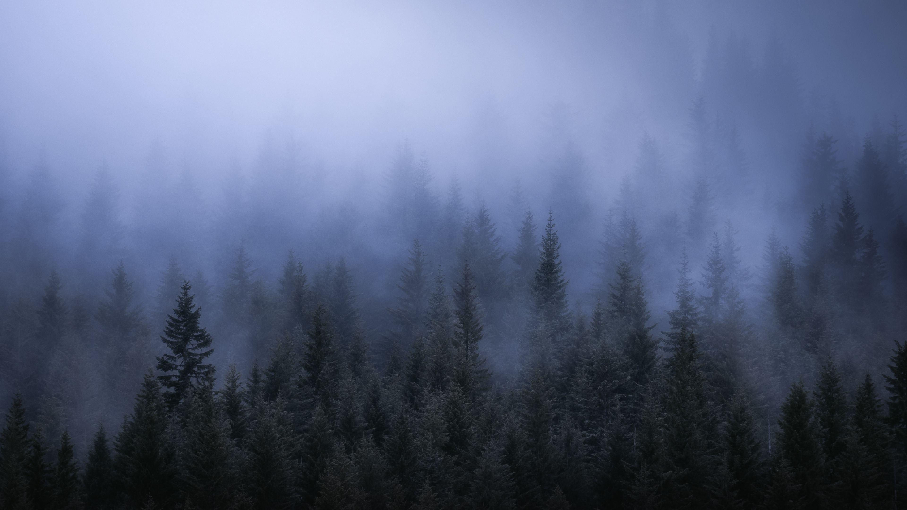 Wallpaper #Xh0aK5MBlOZrFDOkCcW-111 Fog Wallpapers Wallpaper Cave