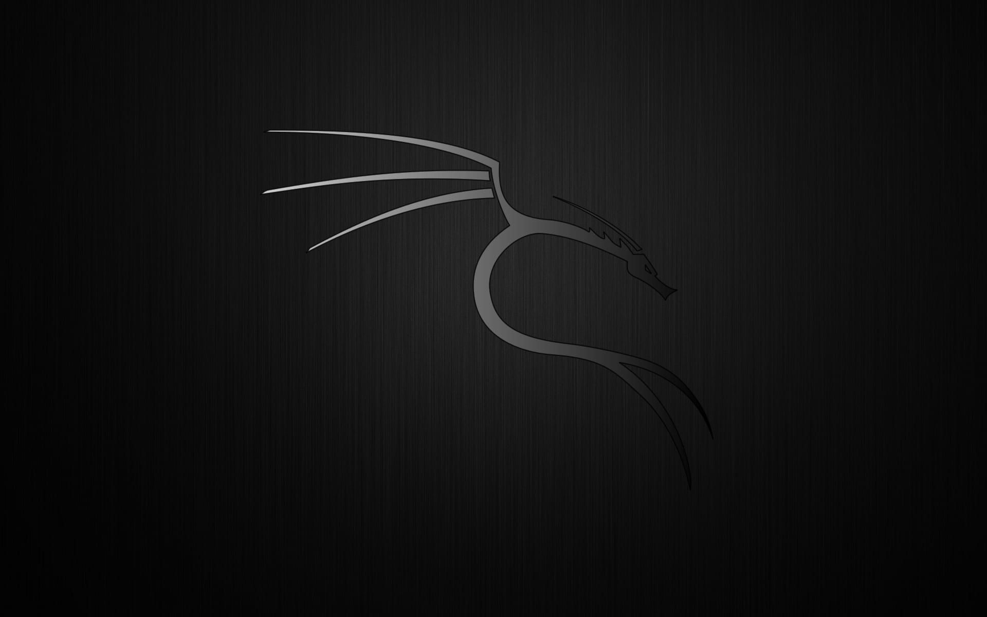 Wallpaper #c37cf Kali Linux 20241 Released with 4 New Tools Ui Refresh