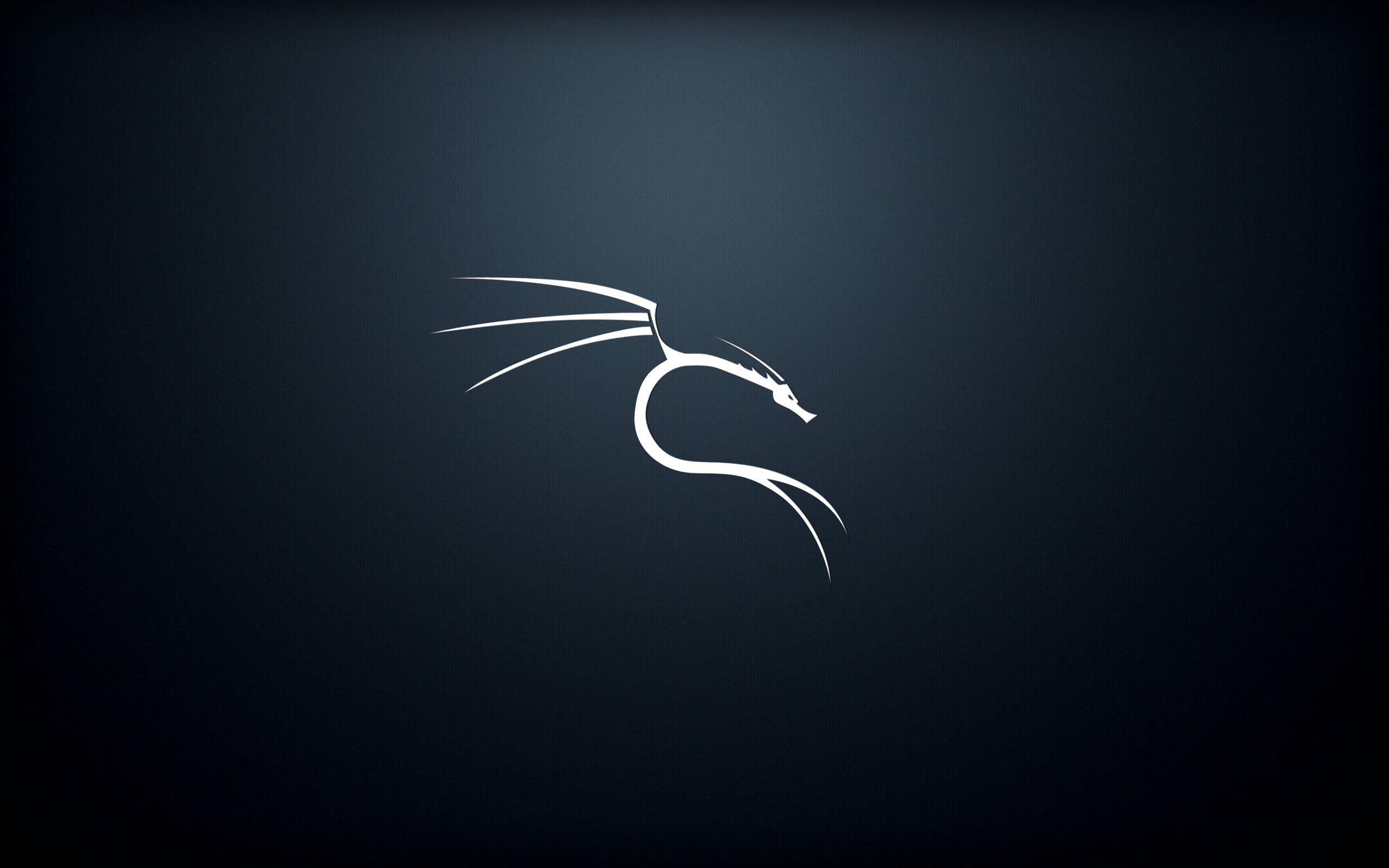 Wallpaper #c37cf Kali Linux 20241 Released with 4 New Tools Ui Refresh