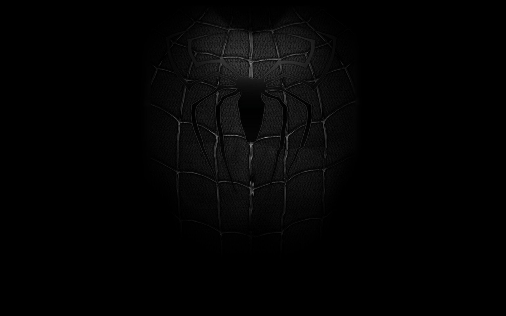 Wallpaper #m31w9I4Bnwiau_P6FA_438 Spider Man Black and White Wallpapers on Wallpaperdog