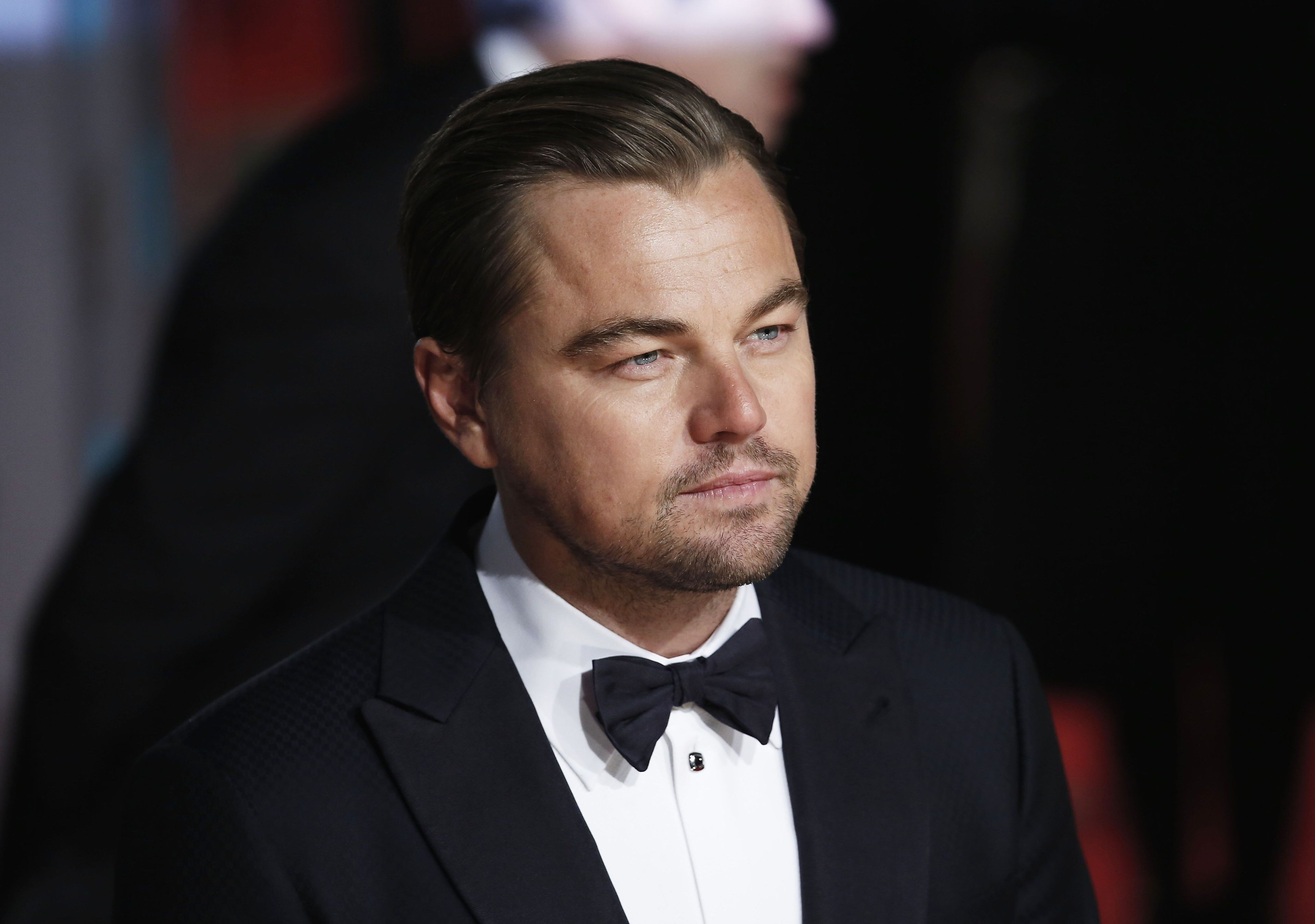 Wallpaper #mGd7A5MBSpphPi3-cLM793 Leonardo Dicaprio 4K Wallpapers Wallpaper Cave