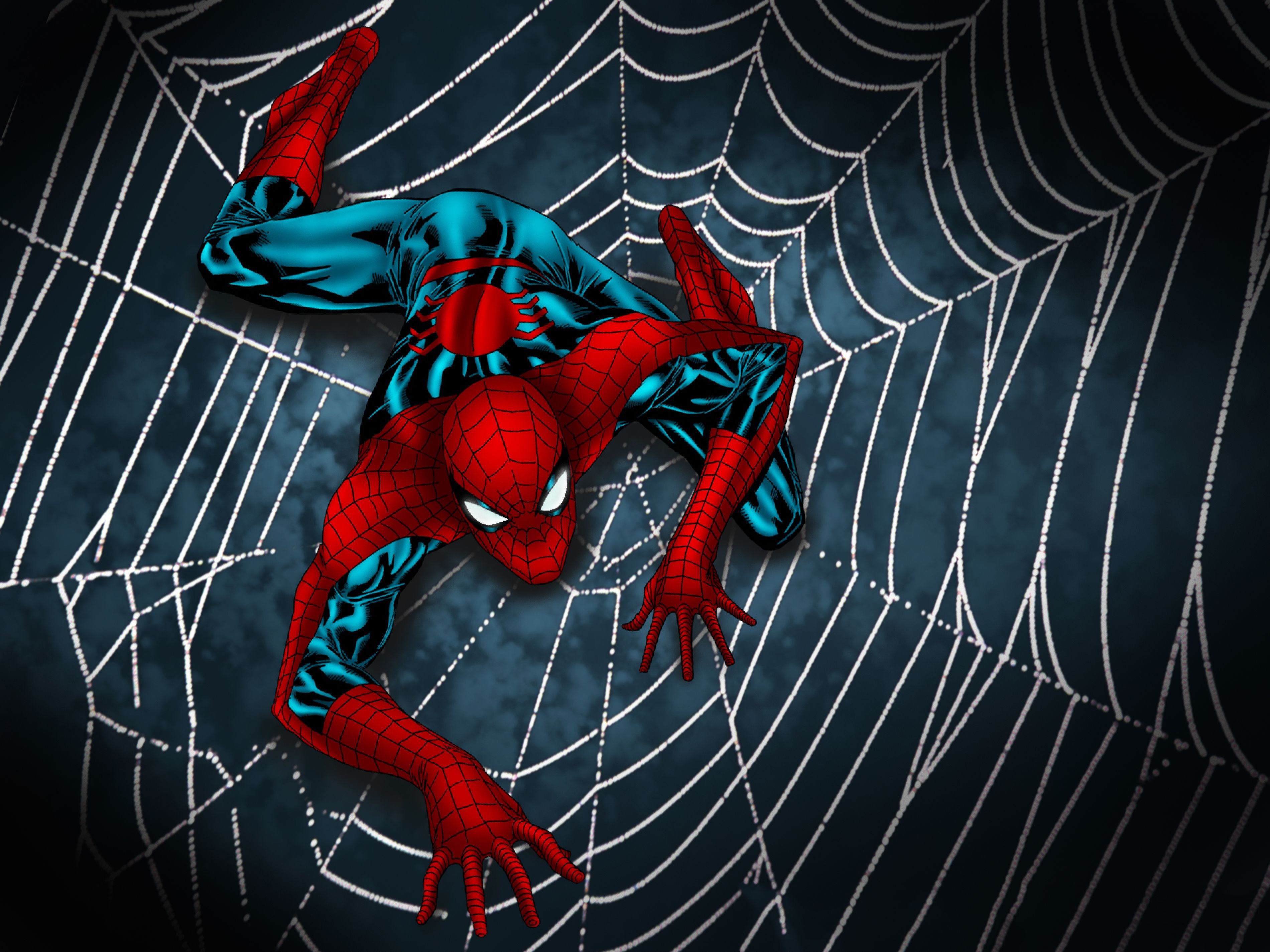 Wallpaper #xnOkg44BFI5NbQksxhtM1 Spider Man Web Wallpapers Wallpaper Cave