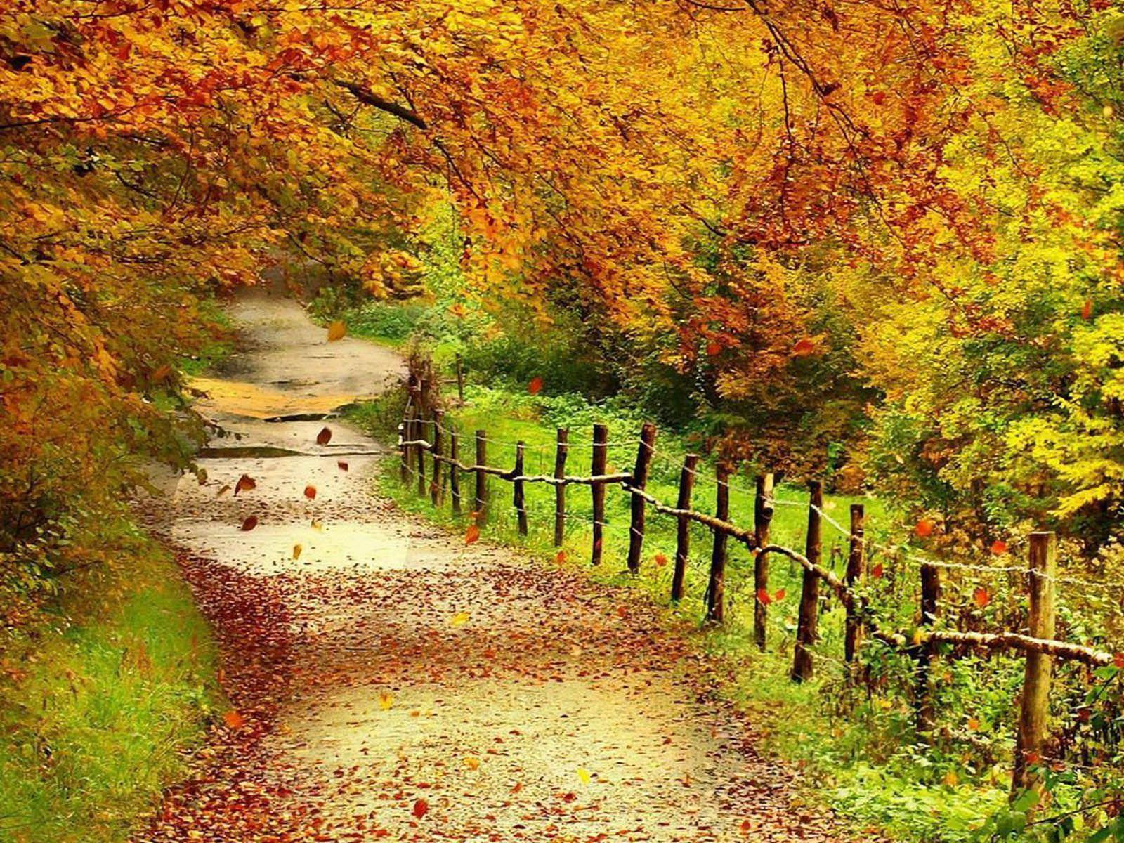 Wallpaper #fXfEJ5MB-pgBXx60HqfB329 Beautiful Fall Landscape Wallpapers