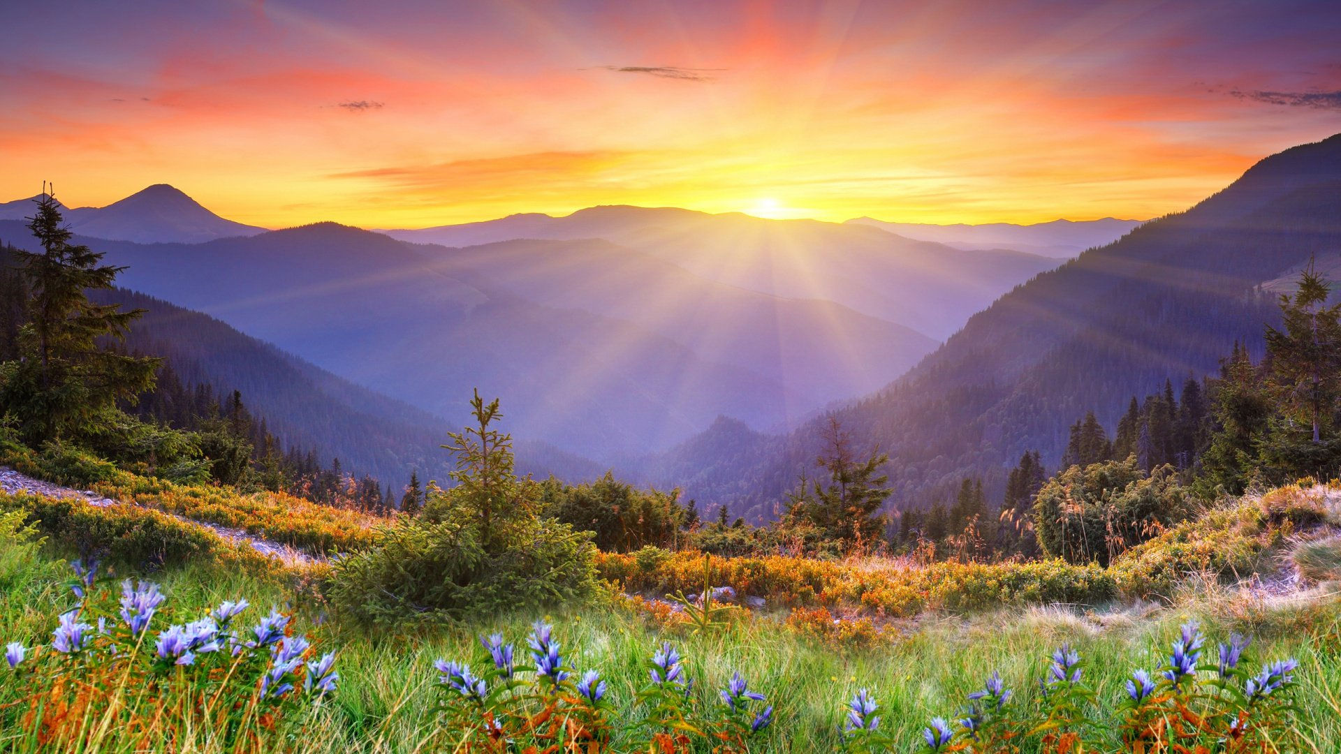 Wallpaper #s-9ES5MBMN-XEVvVNzoH74 Great Smoky Mountains Sunrise Wallpapers Wallpaper Cave