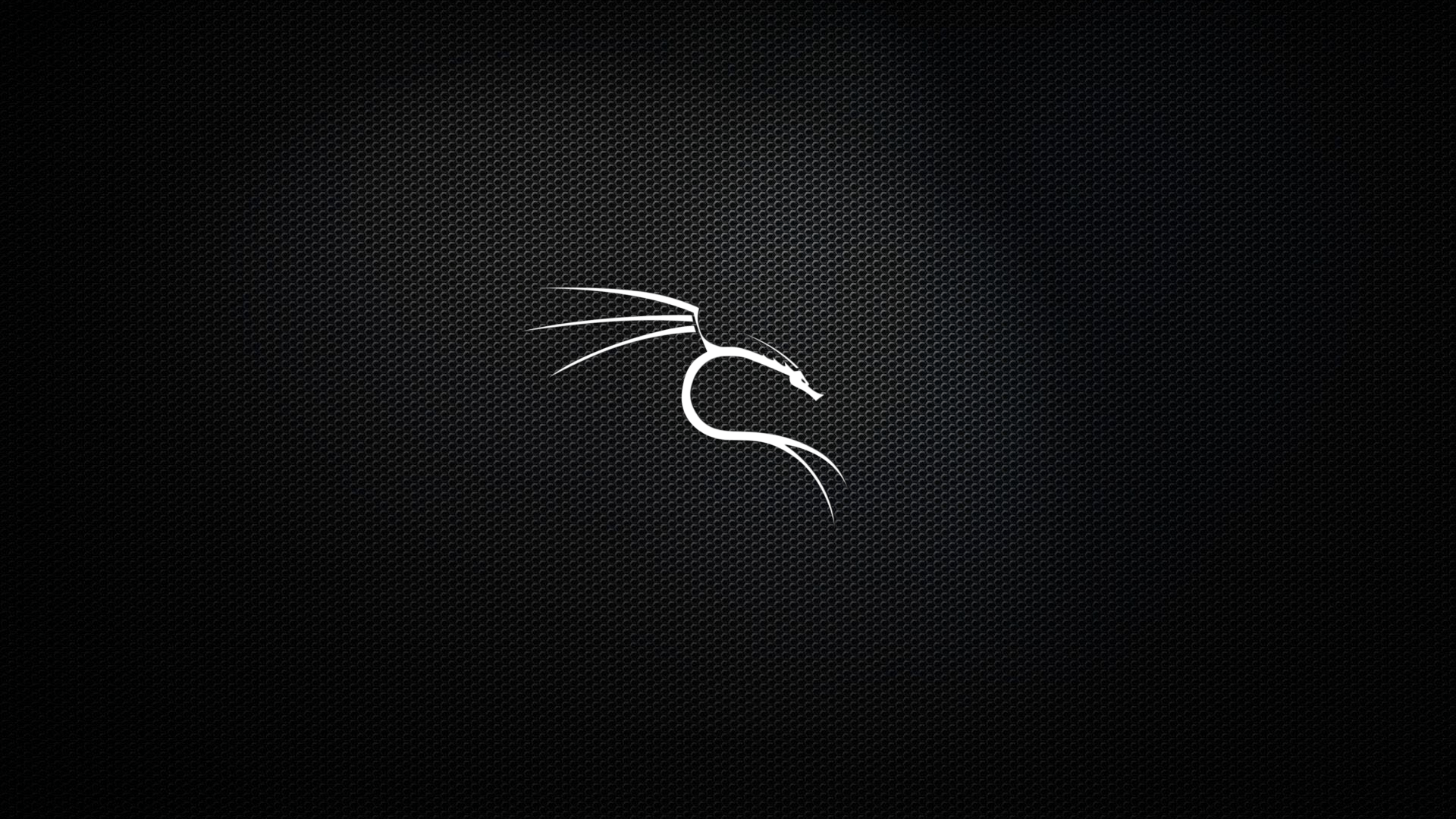 Wallpaper #c37cf Kali Linux 20241 Released with 4 New Tools Ui Refresh