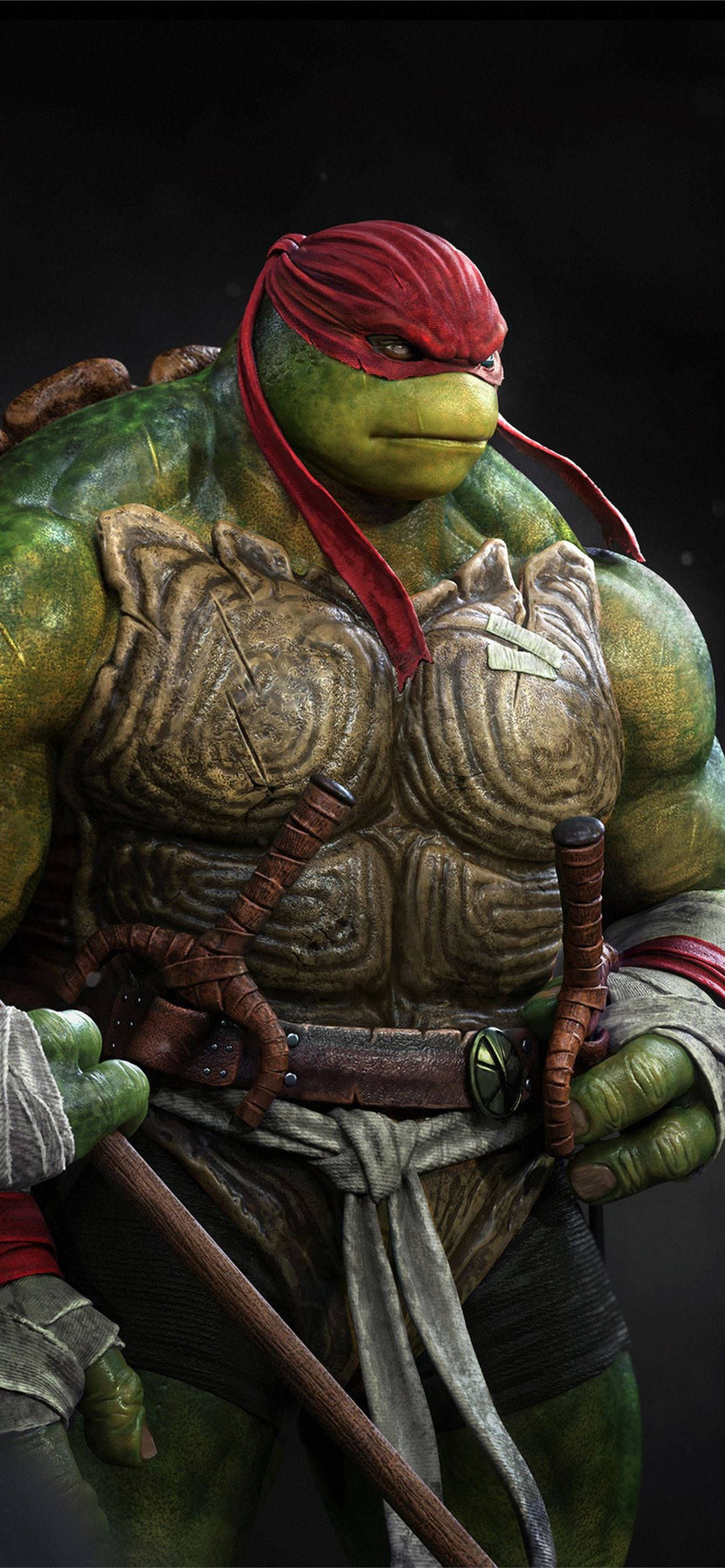 Wallpaper #R2cf8ZIBSpphPi3-O2pZ108 Download Teenage Mutant Ninja Turtles Serious Raphael Wallpaper
