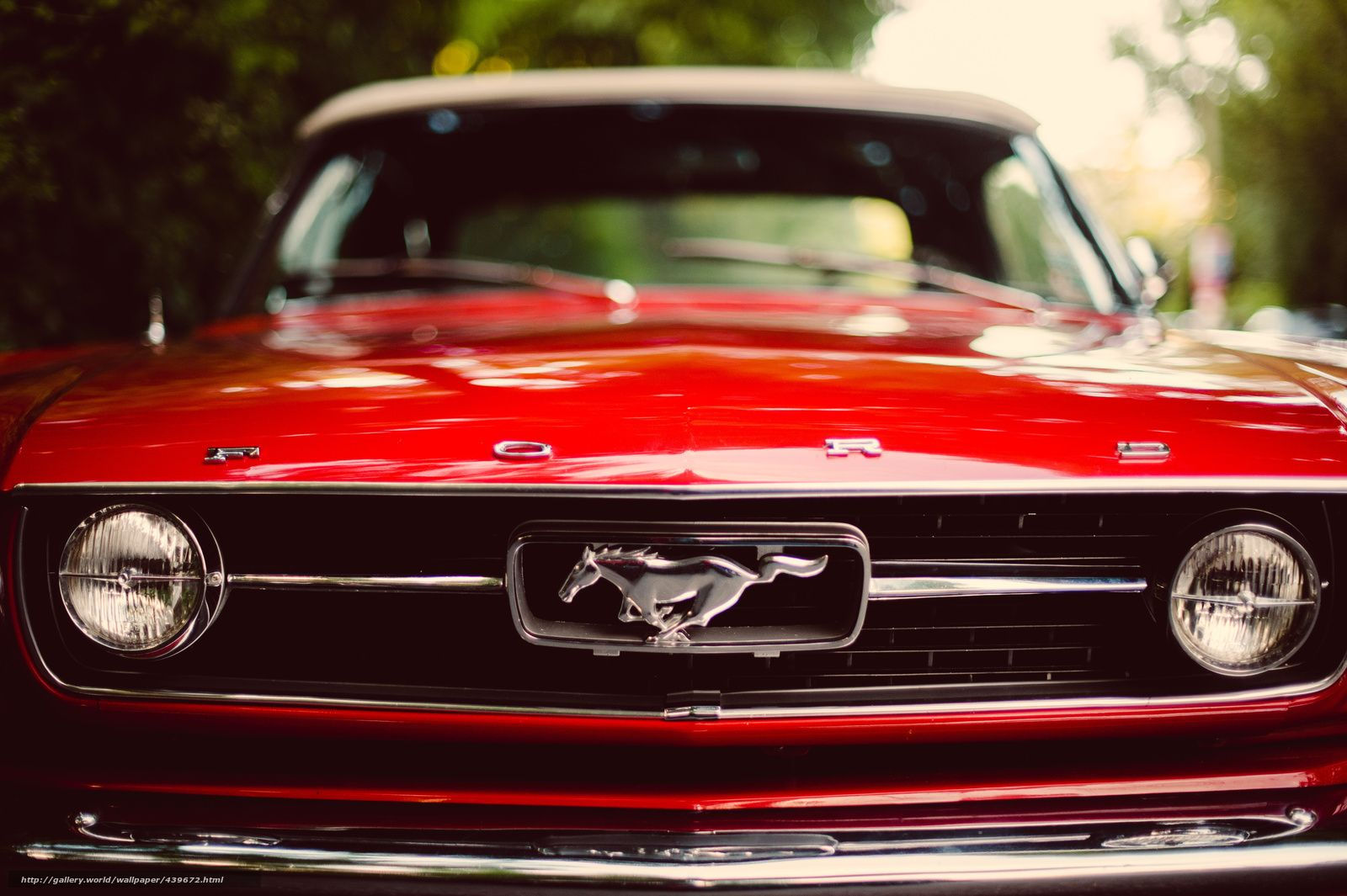 Wallpaper #D31P8Y4Bnwiau_P6vwlr20 Red Mustang Wallpapers Wallpaper Cave