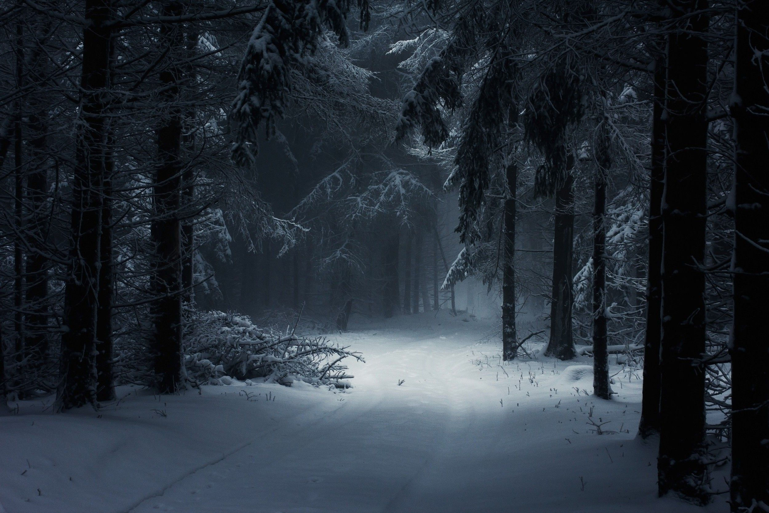 Wallpaper #KX2d9I4Bnwiau_P6pxCG5 Winter Dark 4K Wallpapers Wallpaper Cave