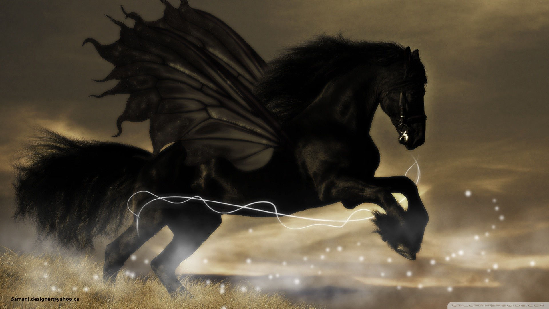 Wallpaper #LH1h8I4Bnwiau_P6ewav54 Black Horse Wallpaper Wallpapertag