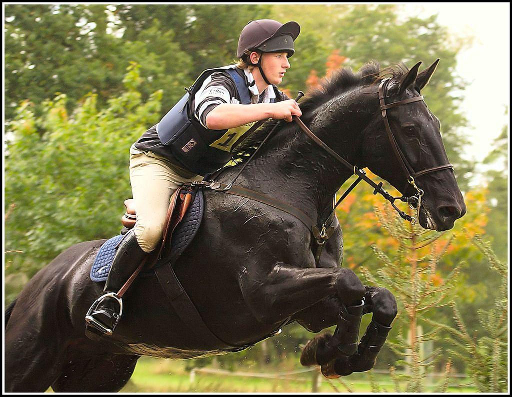 Wallpaper #Gx2aLJMBlOZrFDOk68sw28 Black Horse Jumping Wallpapers Wallpaper Cave