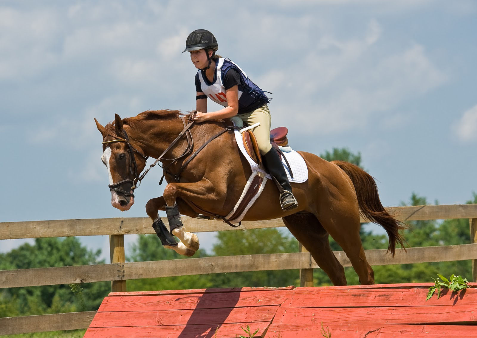 Wallpaper #Gx2aLJMBlOZrFDOk68sw152 Brown Horse Jumping Wallpapers Wallpaper Cave