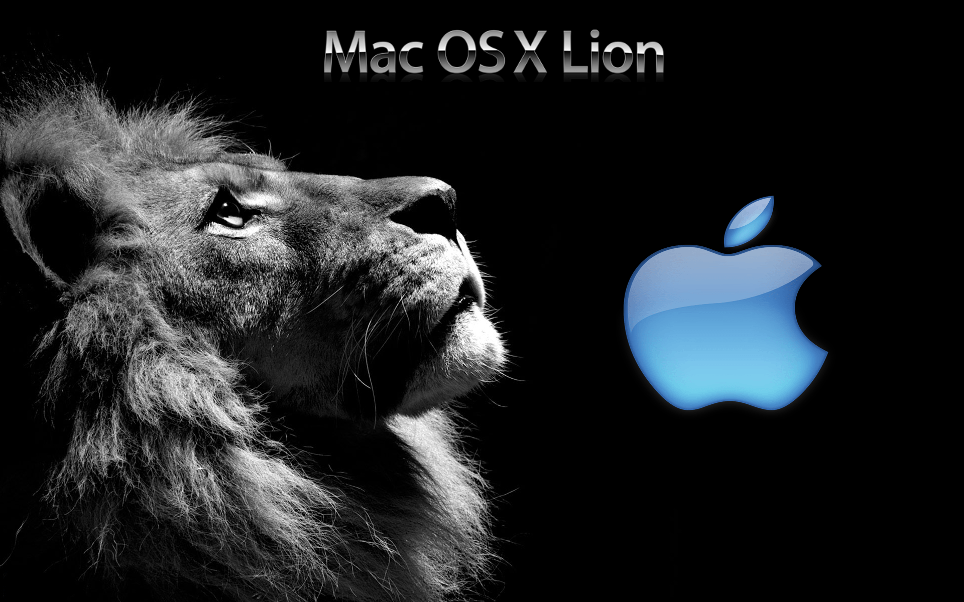 Wallpaper #u_vegpcBx-Hc5Y20f62R23 Mac Os X Lion Wallpapers 4K HD Mac Os X Lion Backgrounds on Wallpaperbat