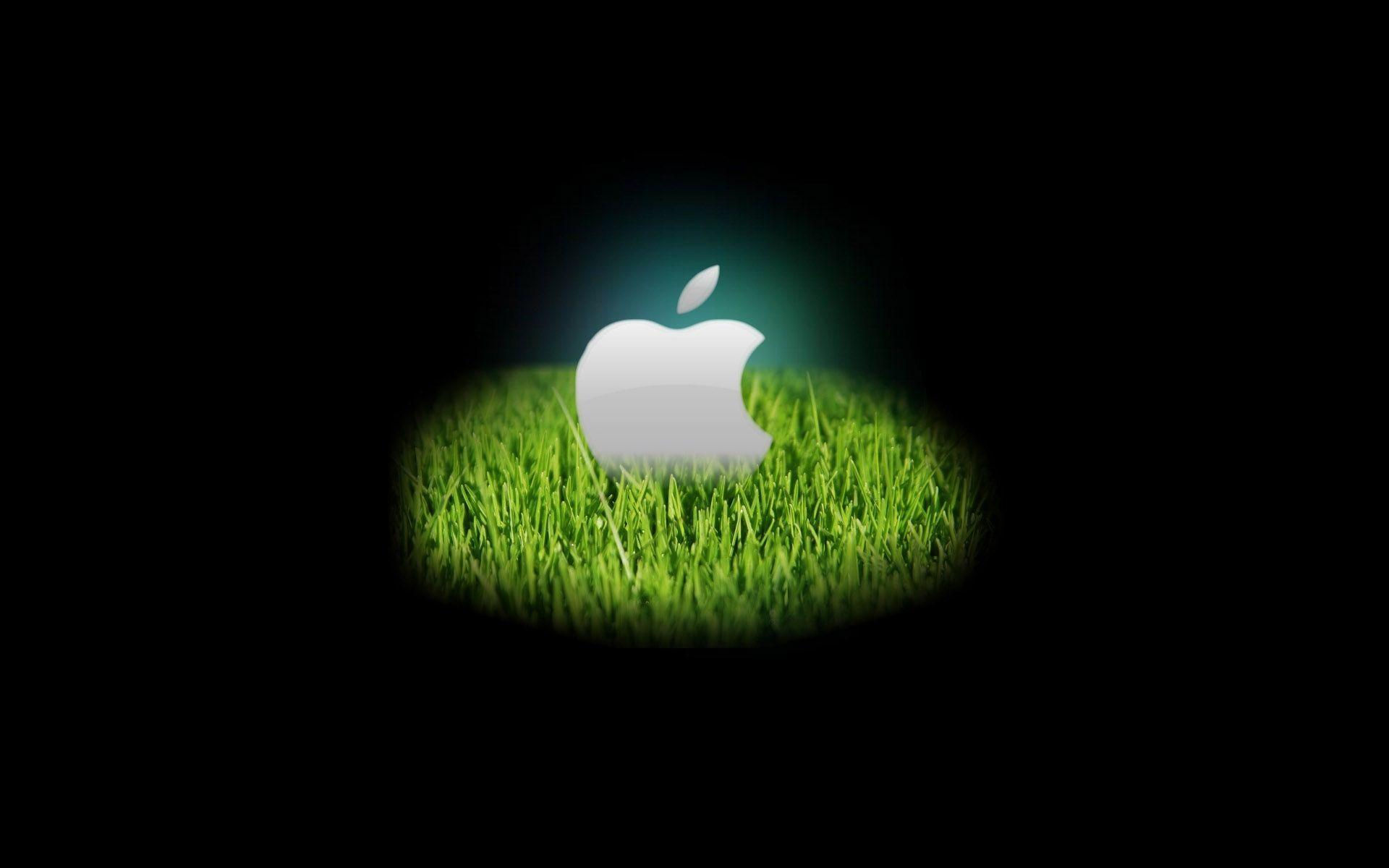Wallpaper #WGjzIpMBSpphPi3-kzTY48 Mac Leopard Wallpapers Wallpaper Cave