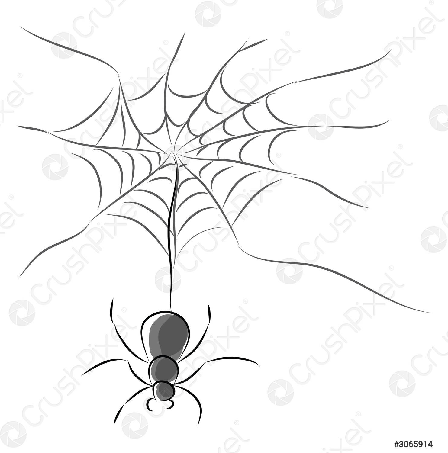 Wallpaper #52dP85IBSpphPi3-BnRA288 Spider with Hanging Web Vector or Color Illustration Stock Vector