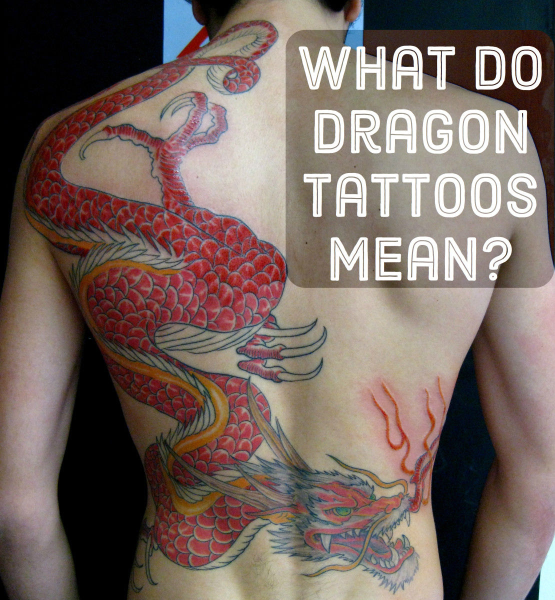 Wallpaper #dGfrEZMBSpphPi3-k_mu361 Dragon Tattoo Photos and What They Mean Tatring