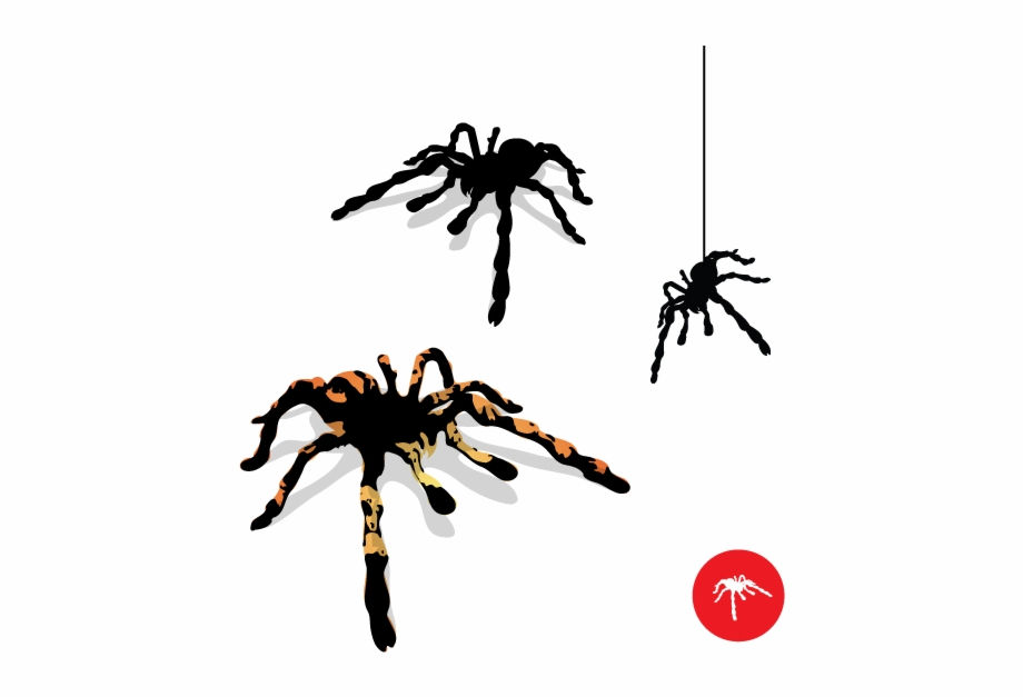 Wallpaper #71bf1 Pin by Kayleigh on Spider Drawings in 2024 Spiderman Drawing
