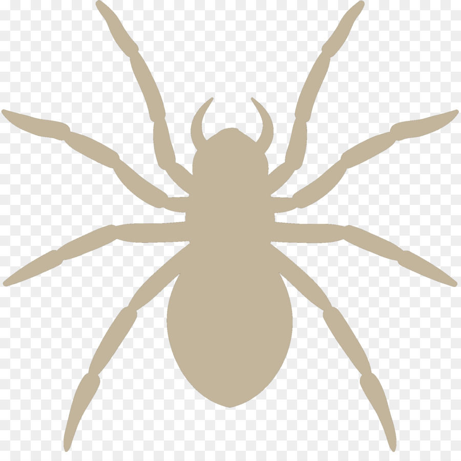 Wallpaper #71bf1 Pin by Kayleigh on Spider Drawings in 2024 Spiderman Drawing
