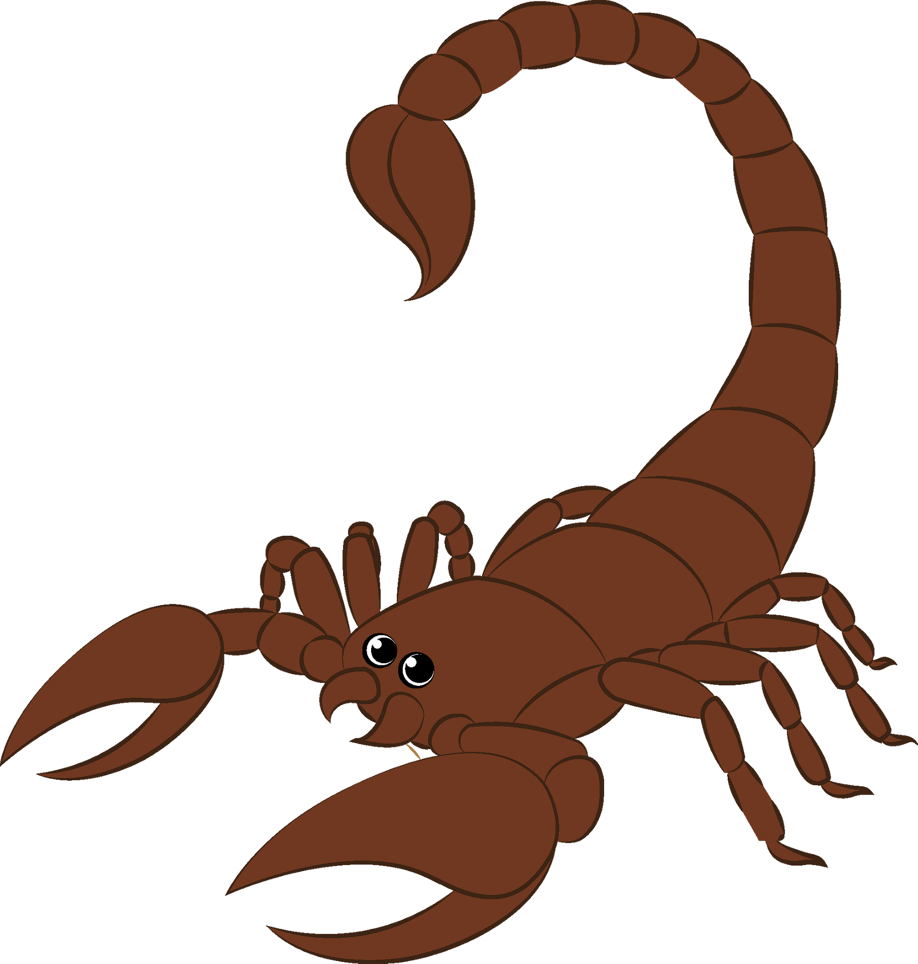 Wallpaper #YPQzOZMBKFX8bn3rnnbQ58 Scorpion Clipart Free Download Transparent Png Clipart Library Clip