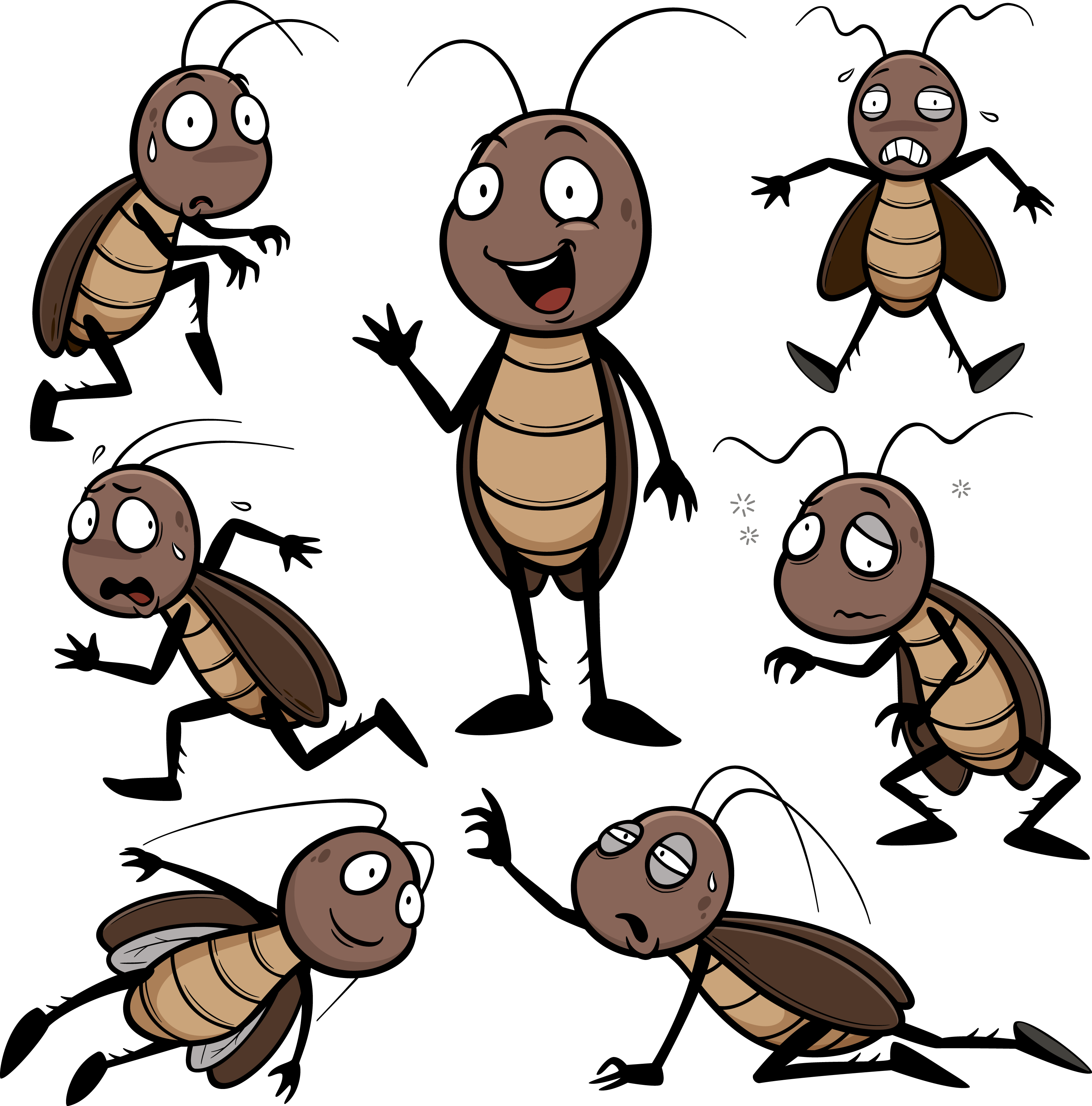 Wallpaper #SWdXCpMBSpphPi3-q9Qk239 613 Cockroach Clipart Images Stock Photos Vectors Shutterstock