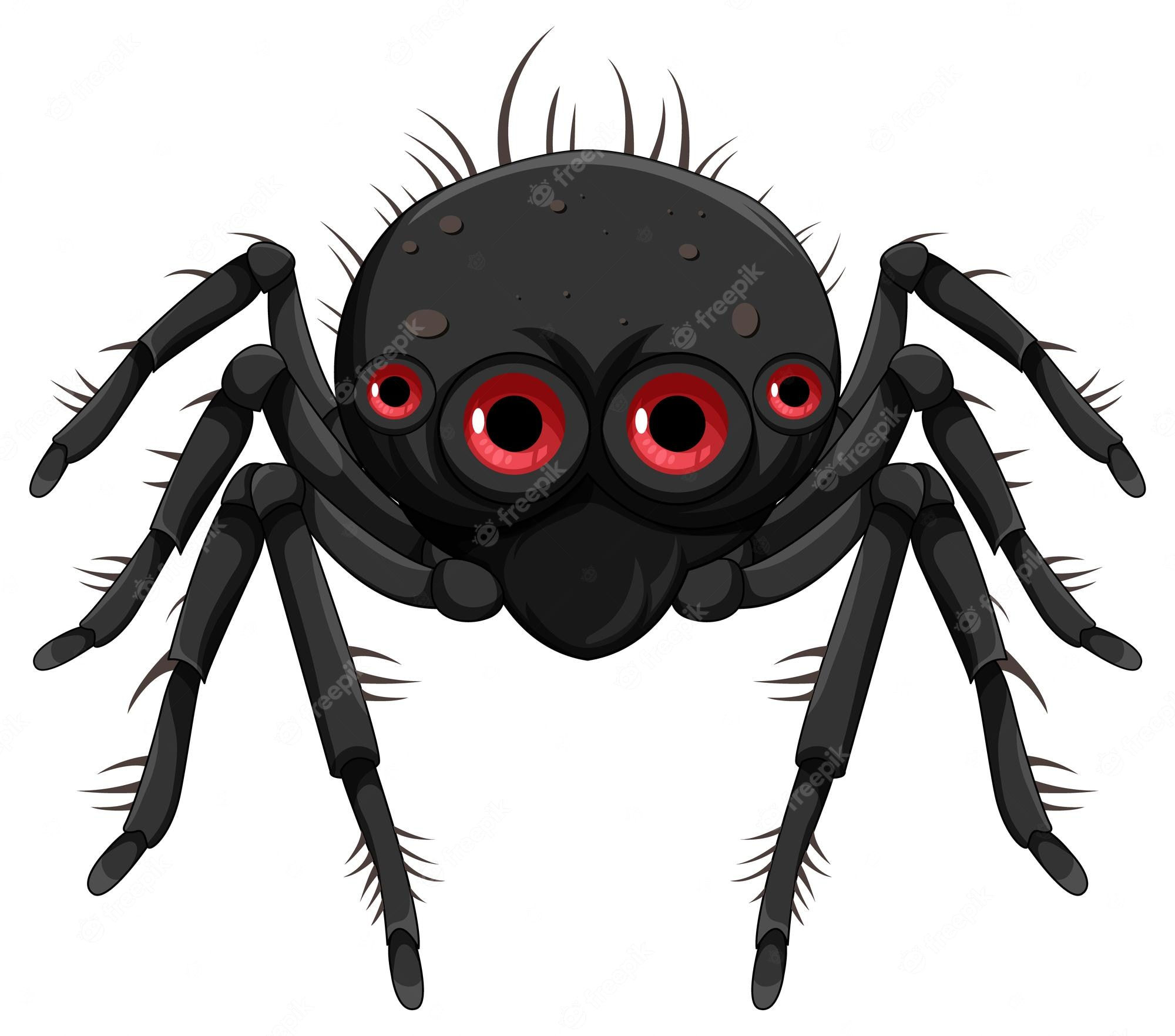 Wallpaper #k_RZOpMBKFX8bn3rE3j0245 Scary Halloween Spider Clip Art